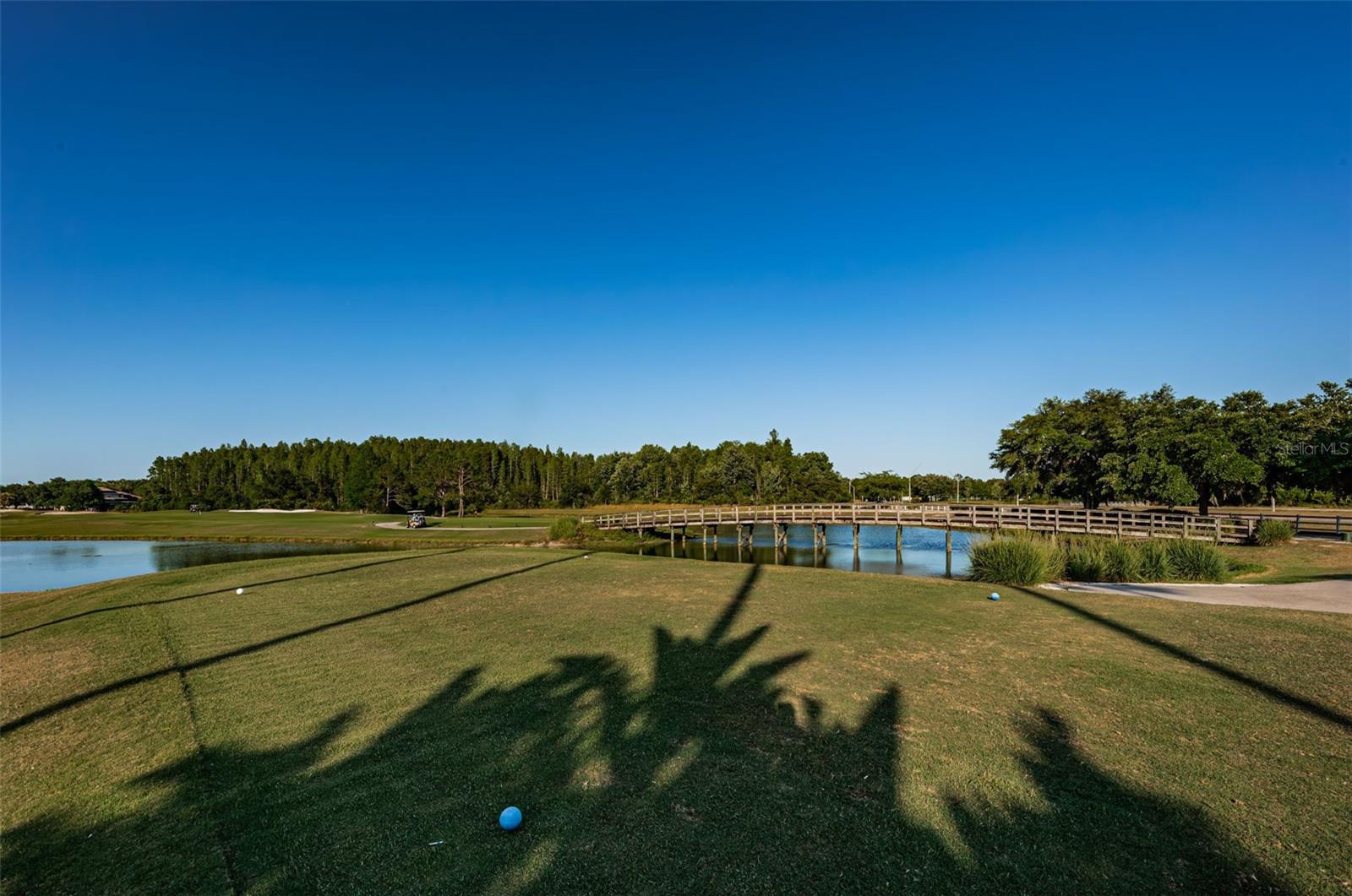 18186 SANDY POINTE DR, TAMPA, FL, 33647