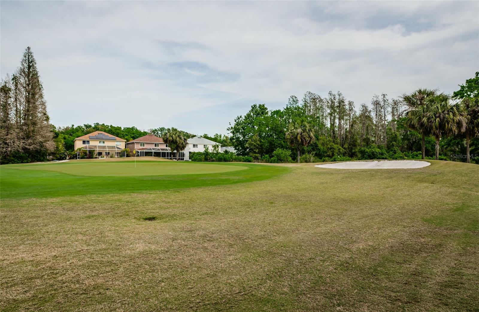 18186 SANDY POINTE DR, TAMPA, FL, 33647