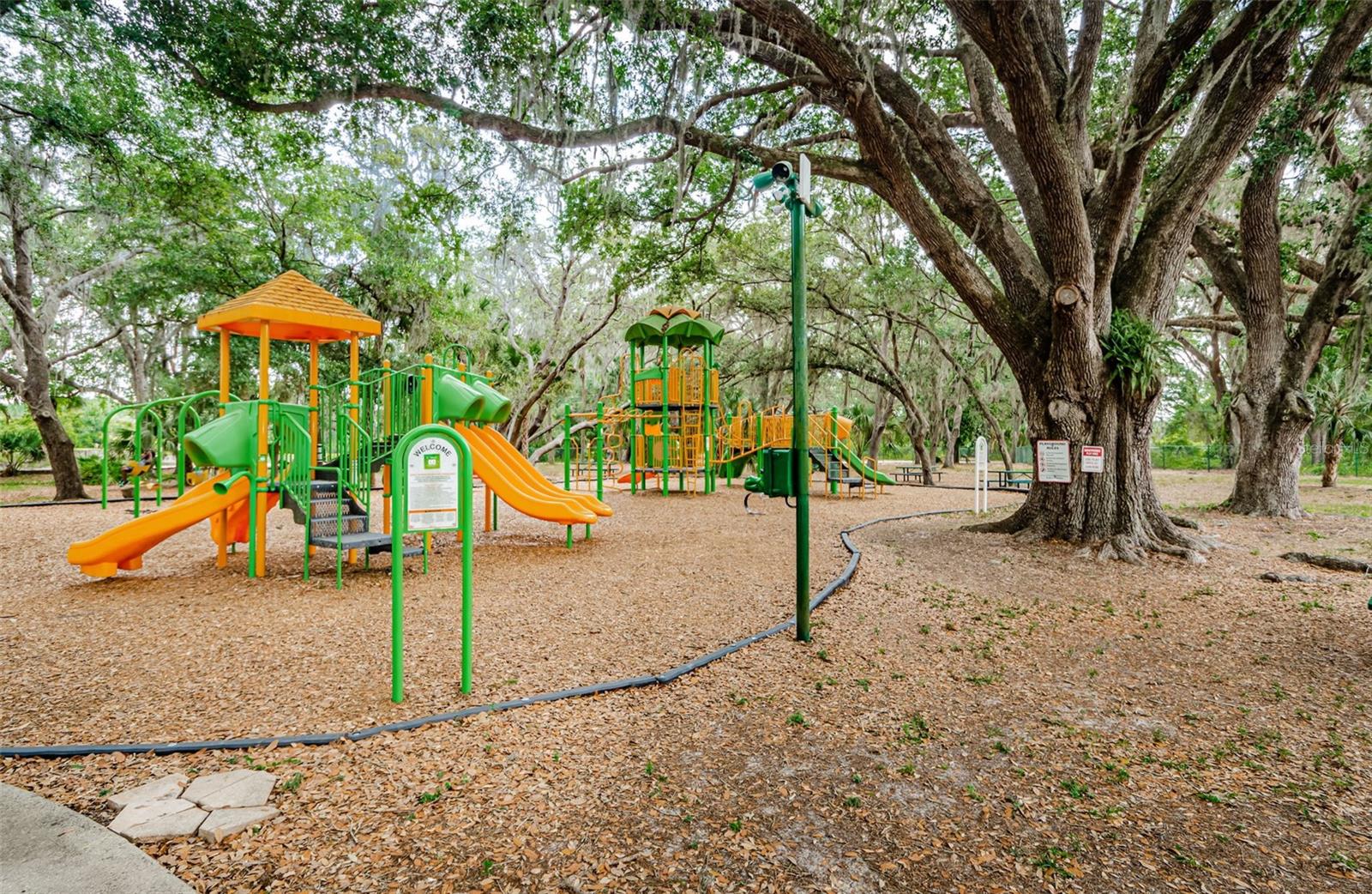 18186 SANDY POINTE DR, TAMPA, FL, 33647