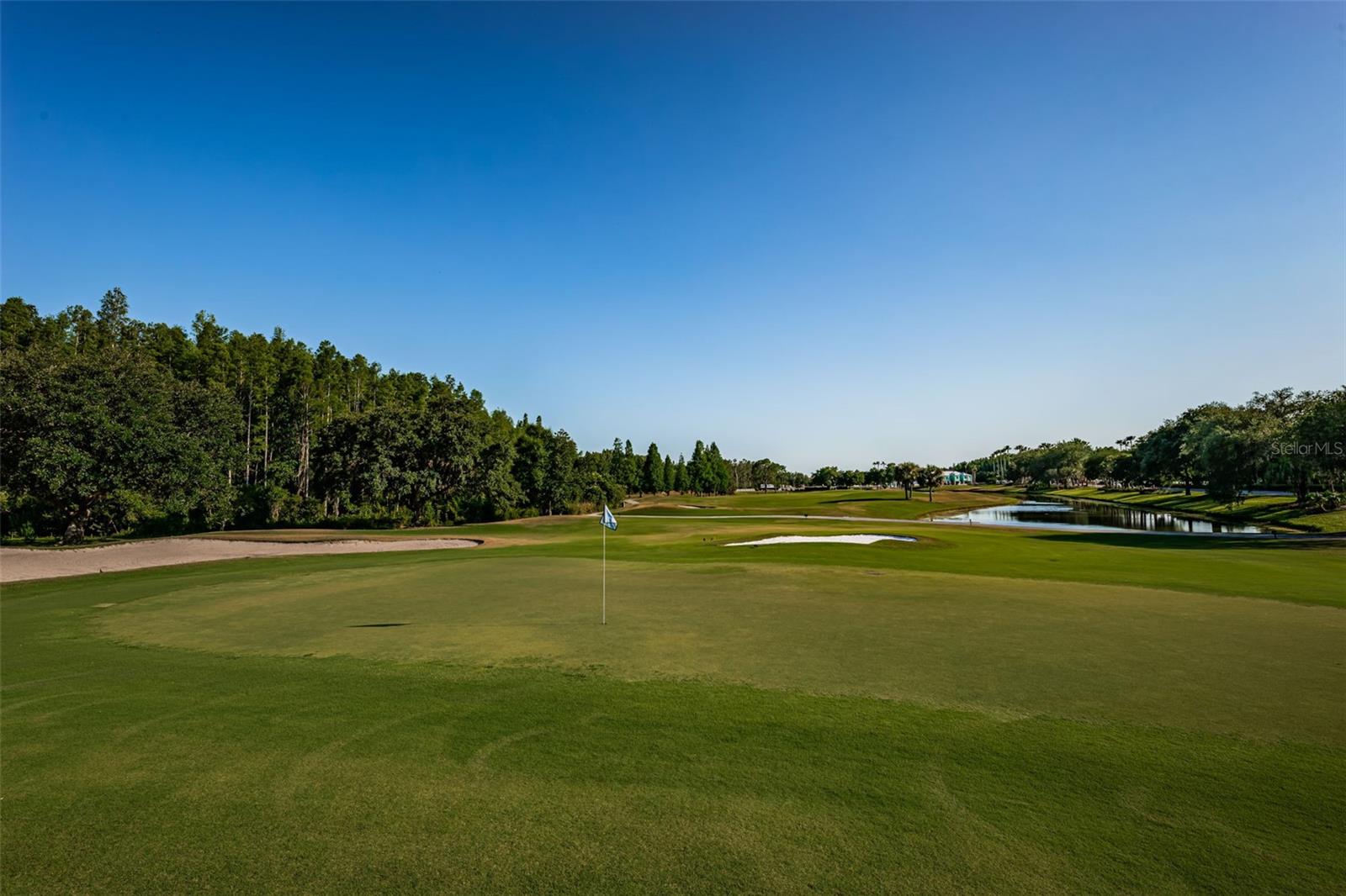 18186 SANDY POINTE DR, TAMPA, FL, 33647