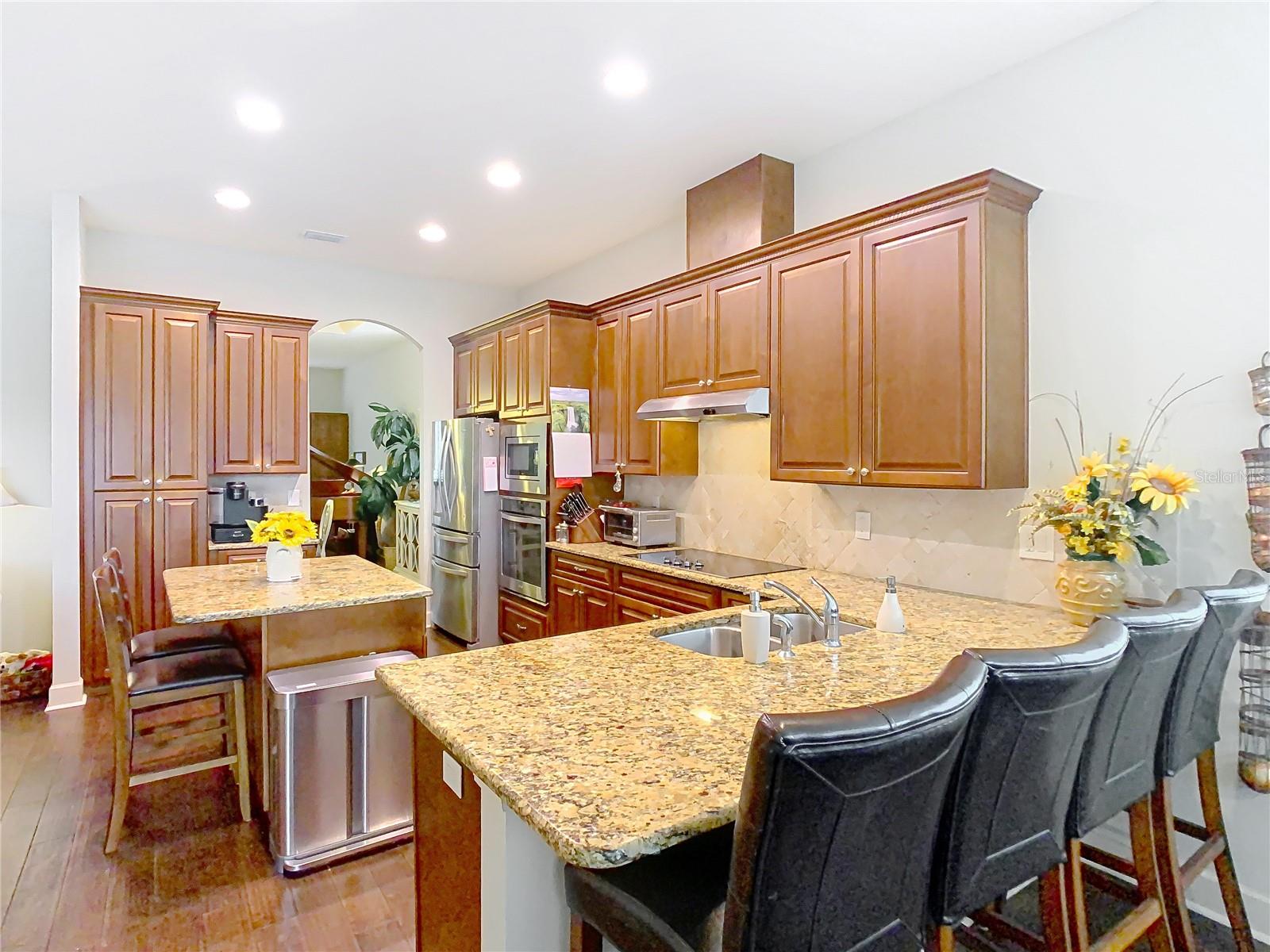 13422 NITI DR, HUDSON, FL, 34669