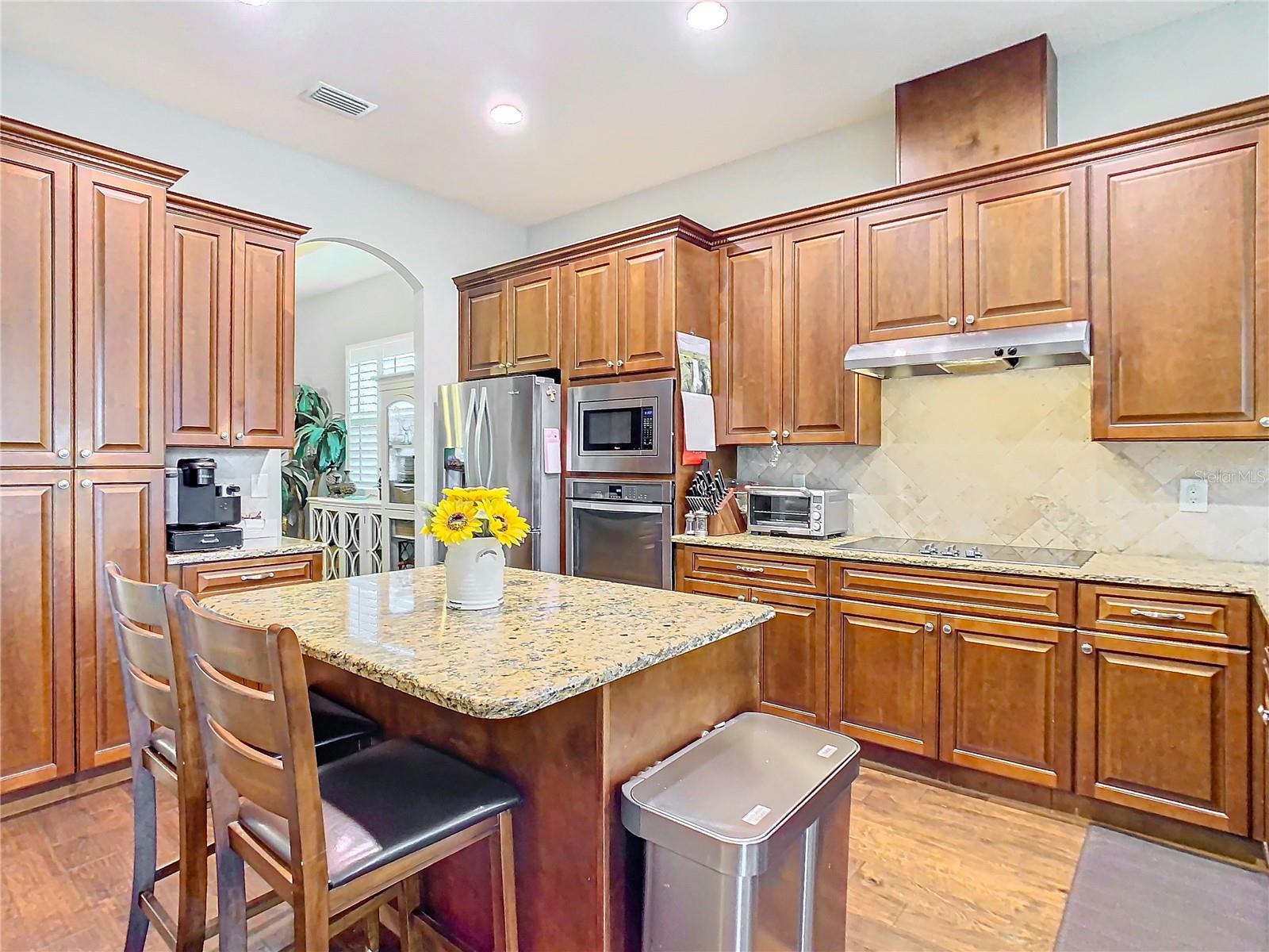 13422 NITI DR, HUDSON, FL, 34669