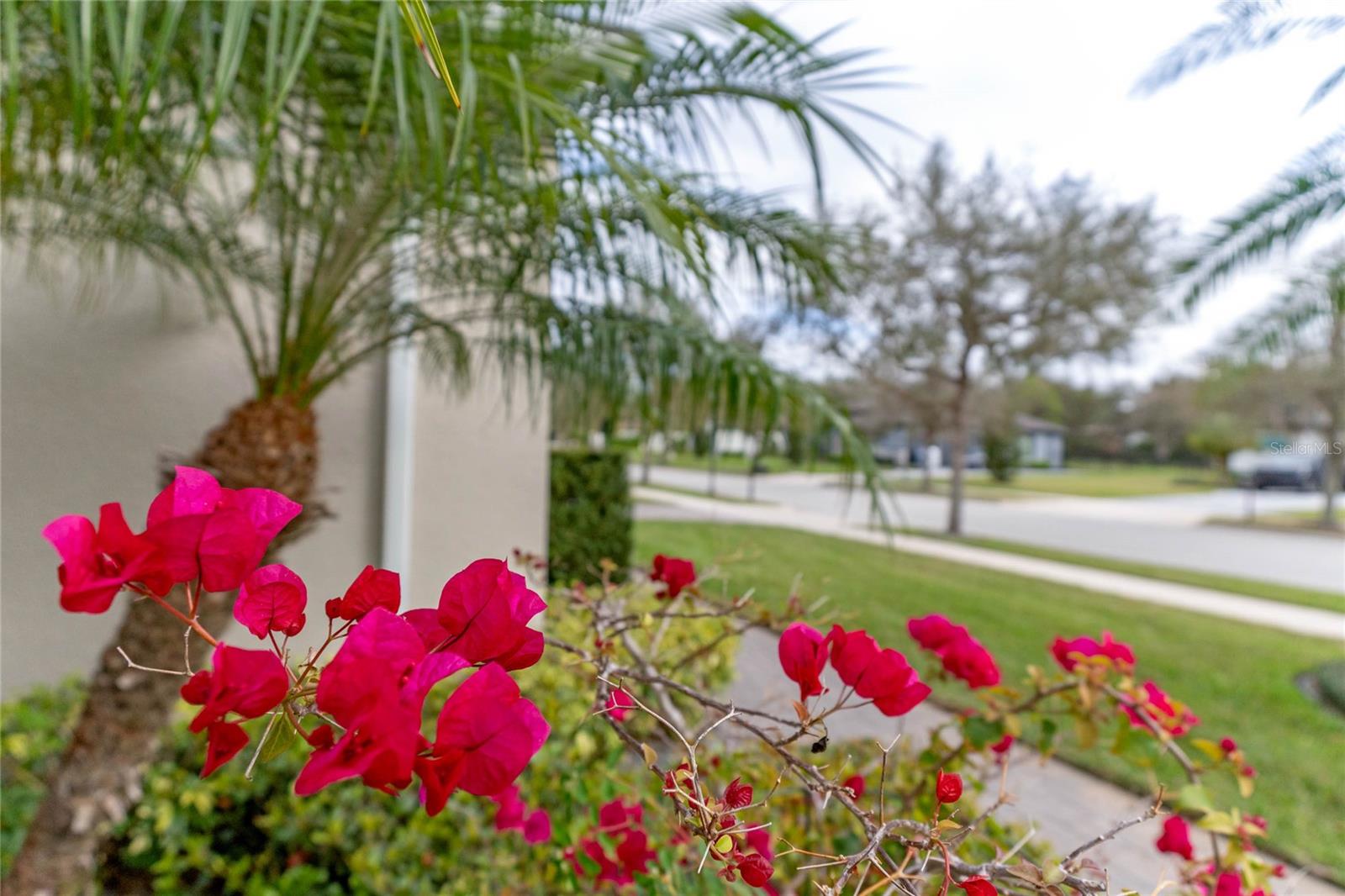 31746 RED TAIL BLVD, SORRENTO, FL, 32776