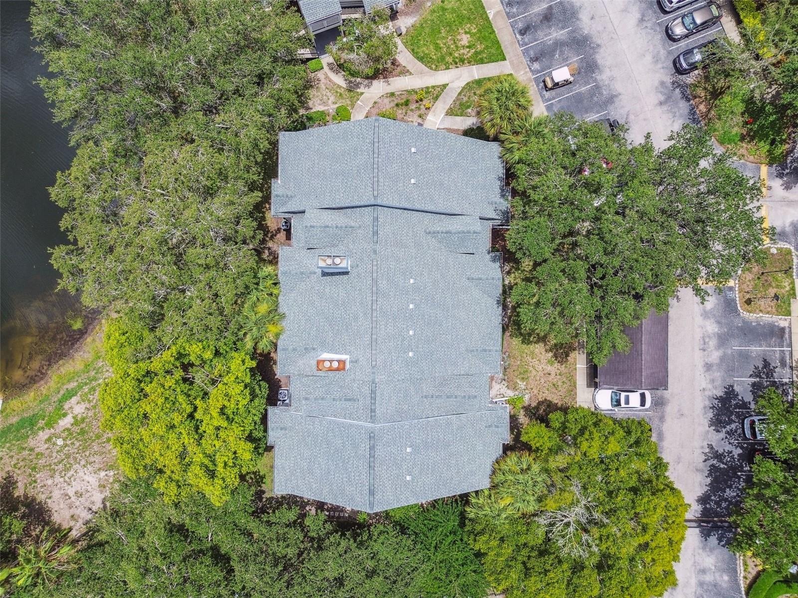 3261 HAVILAND CT #303, PALM HARBOR, FL, 34684