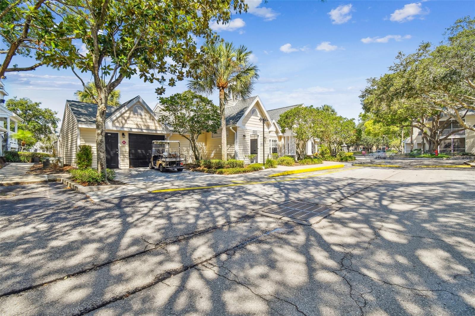 3261 HAVILAND CT #303, PALM HARBOR, FL, 34684