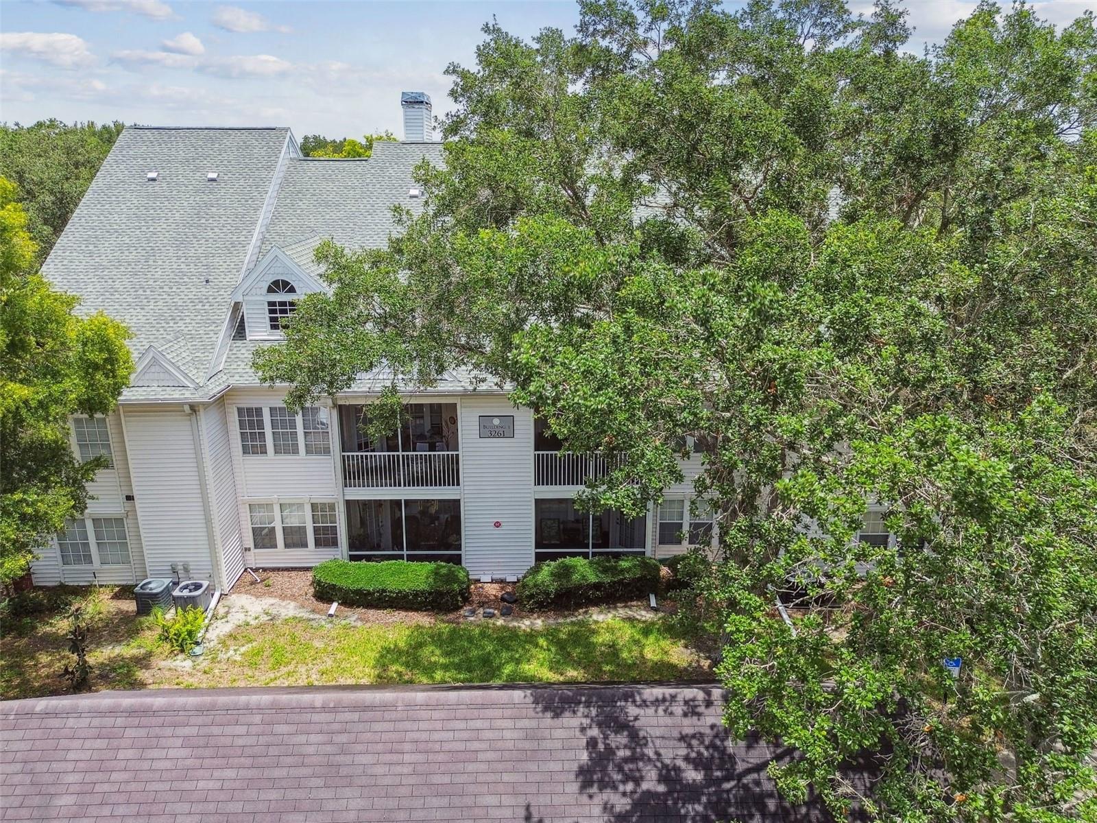 3261 HAVILAND CT #303, PALM HARBOR, FL, 34684