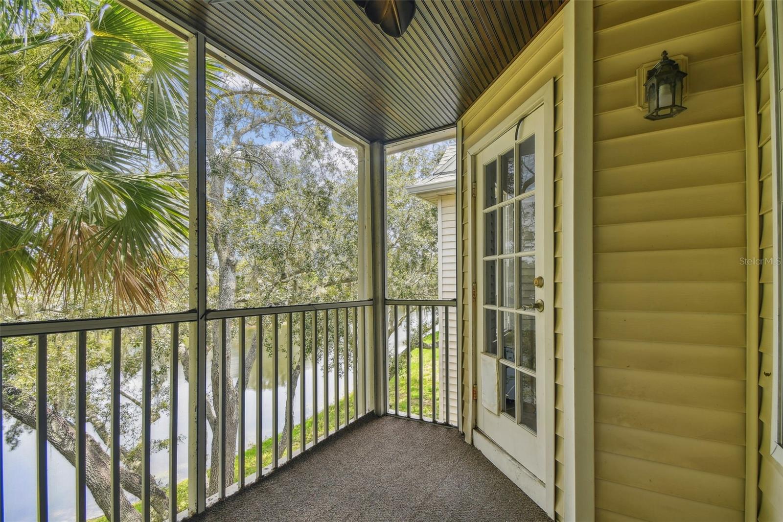 3261 HAVILAND CT #303, PALM HARBOR, FL, 34684