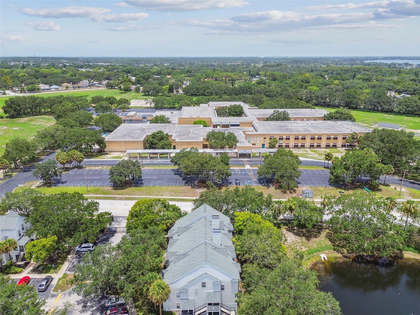 3261 HAVILAND CT #303, PALM HARBOR, FL, 34684