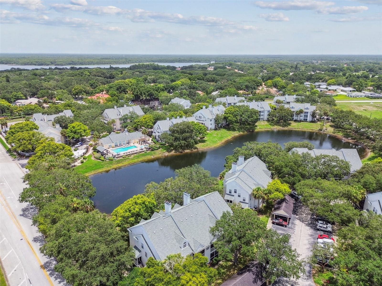 3261 HAVILAND CT #303, PALM HARBOR, FL, 34684