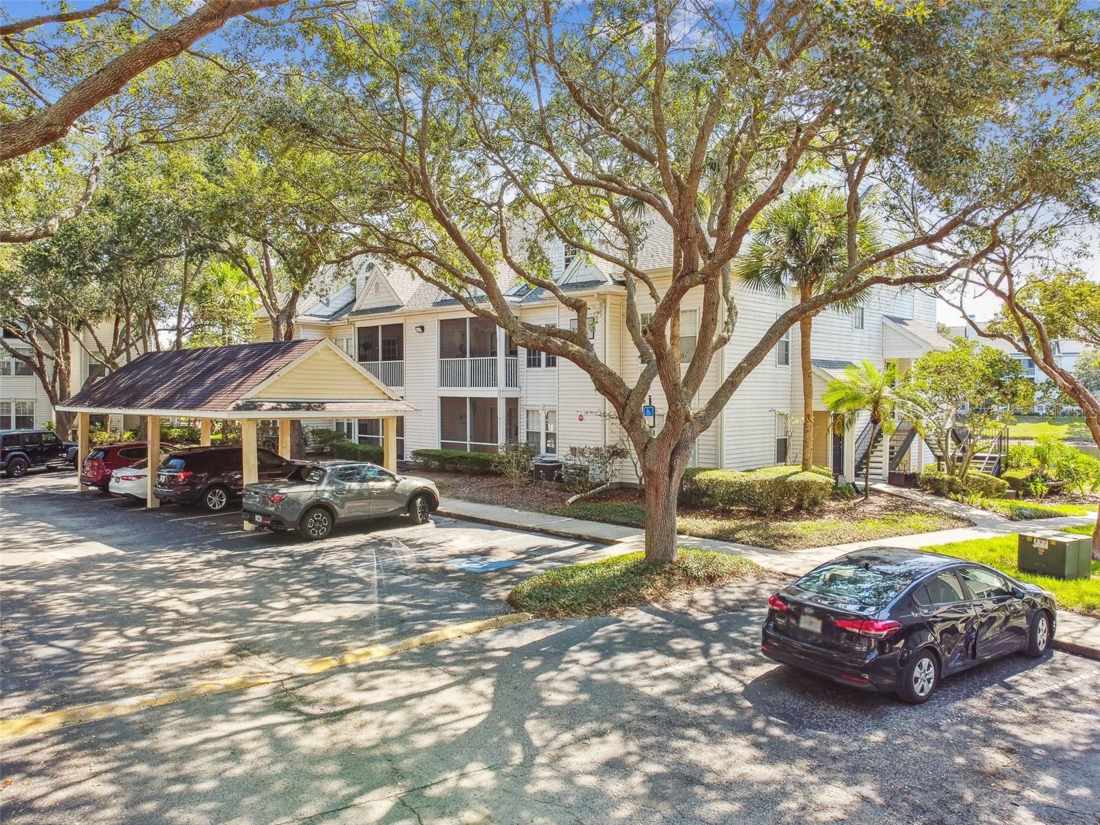 3261 HAVILAND CT #303, PALM HARBOR, FL, 34684