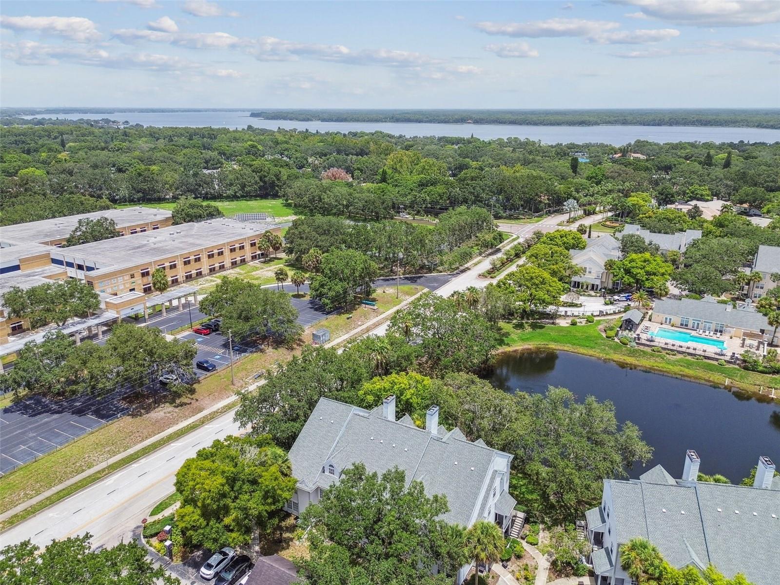 3261 HAVILAND CT #303, PALM HARBOR, FL, 34684