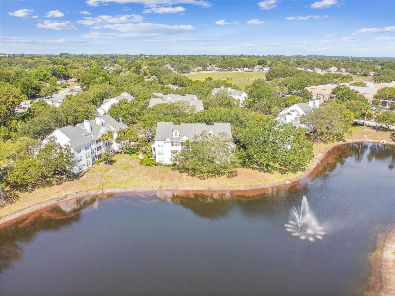 3261 HAVILAND CT #303, PALM HARBOR, FL, 34684