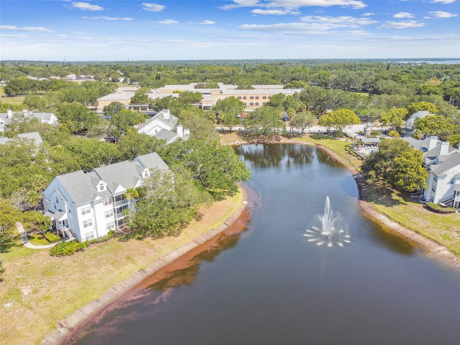 3261 HAVILAND CT #303, PALM HARBOR, FL, 34684