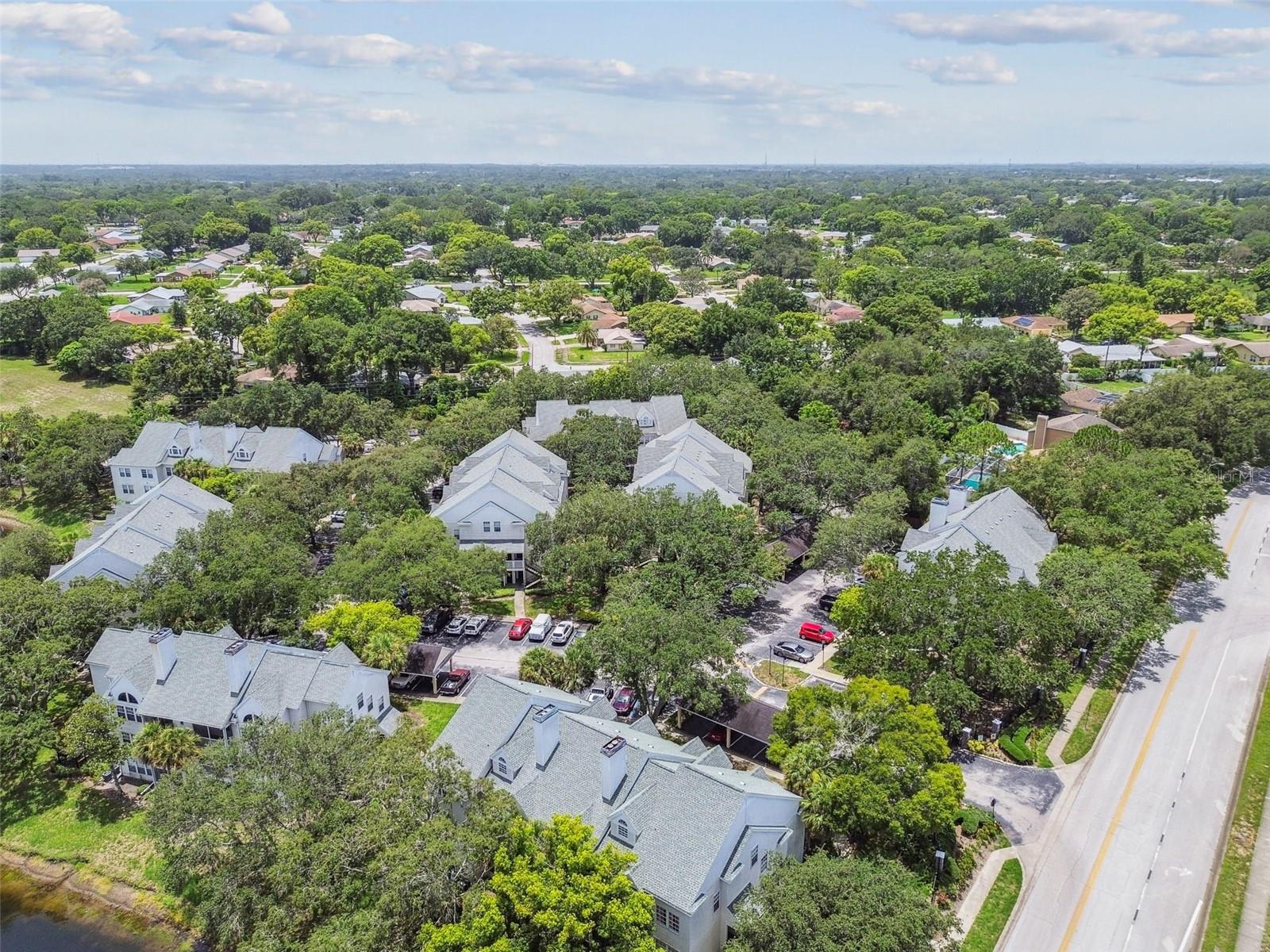 3261 HAVILAND CT #303, PALM HARBOR, FL, 34684