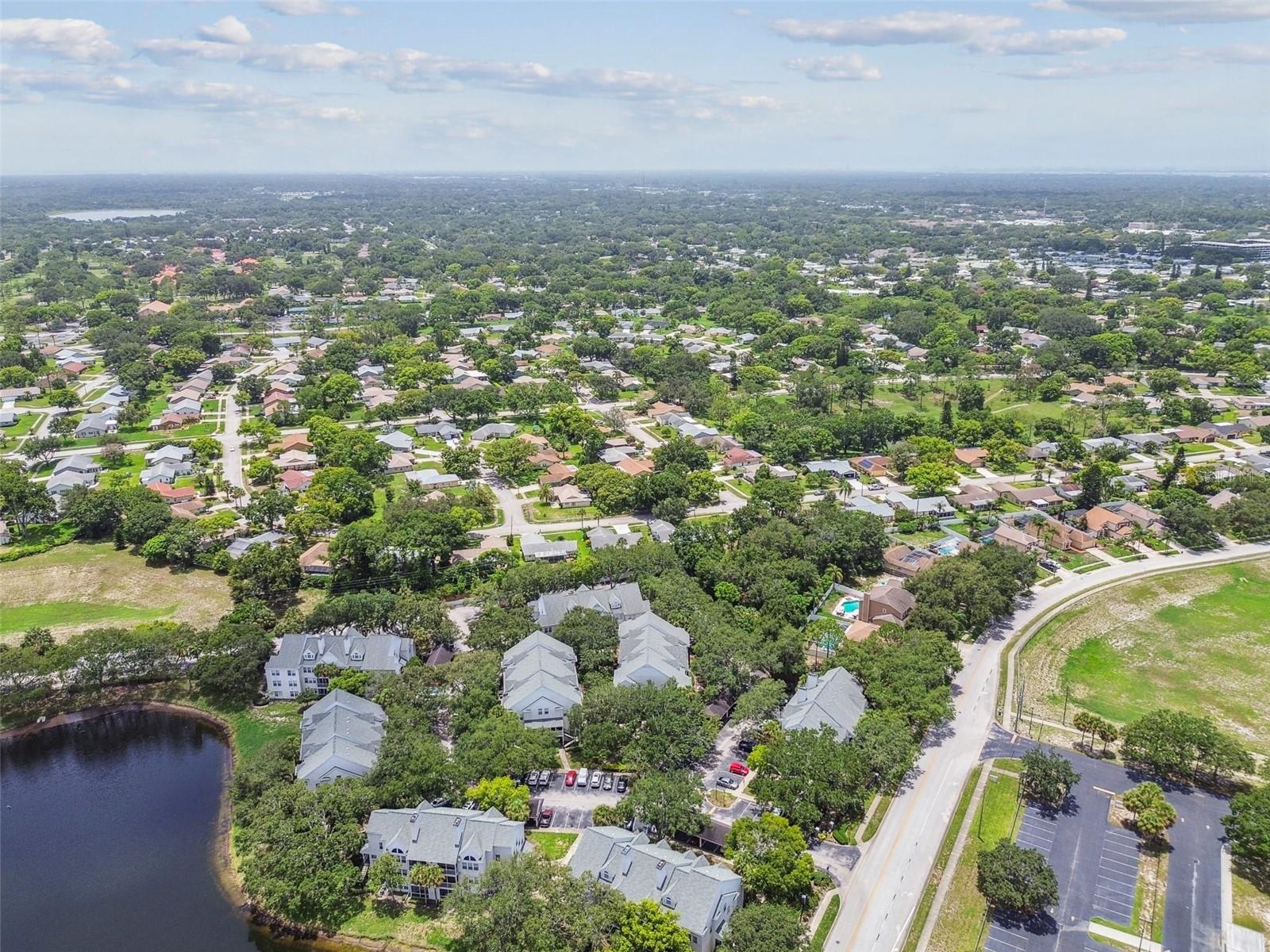 3261 HAVILAND CT #303, PALM HARBOR, FL, 34684