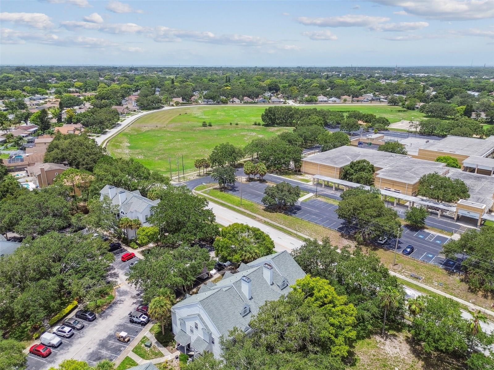 3261 HAVILAND CT #303, PALM HARBOR, FL, 34684