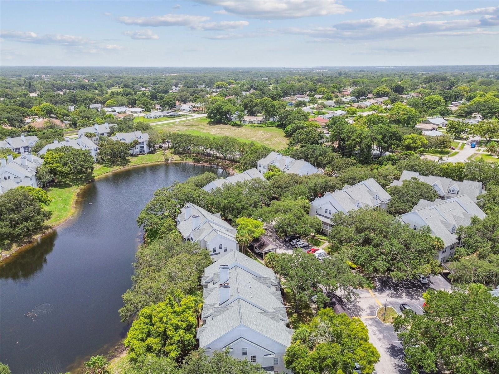 3261 HAVILAND CT #303, PALM HARBOR, FL, 34684