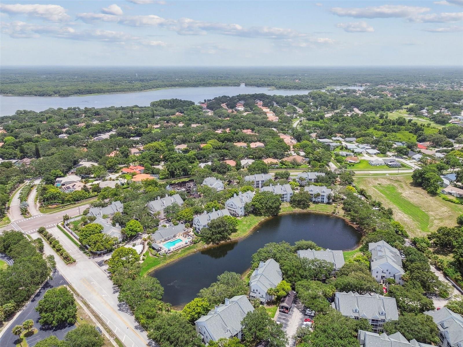 3261 HAVILAND CT #303, PALM HARBOR, FL, 34684