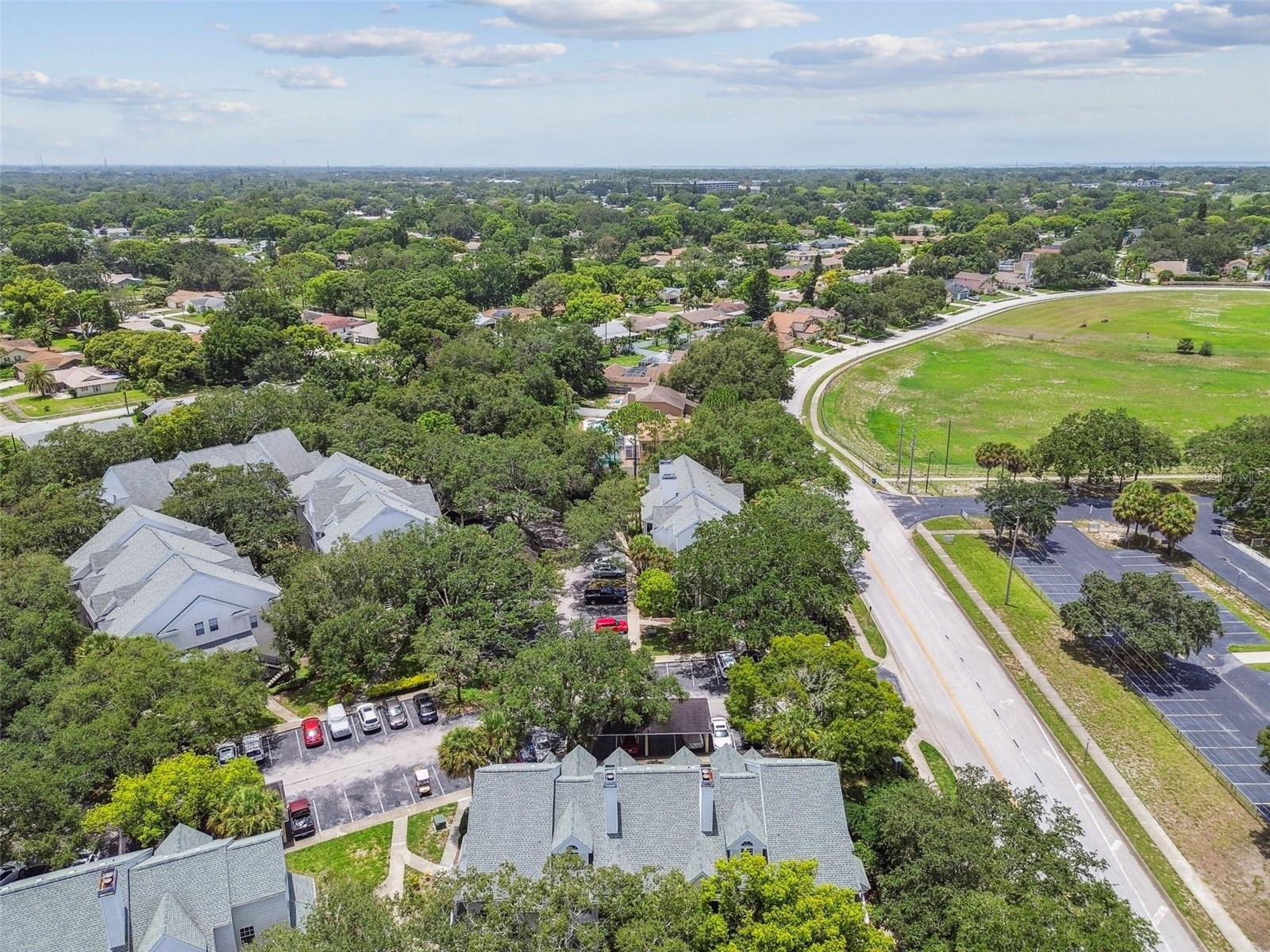 3261 HAVILAND CT #303, PALM HARBOR, FL, 34684