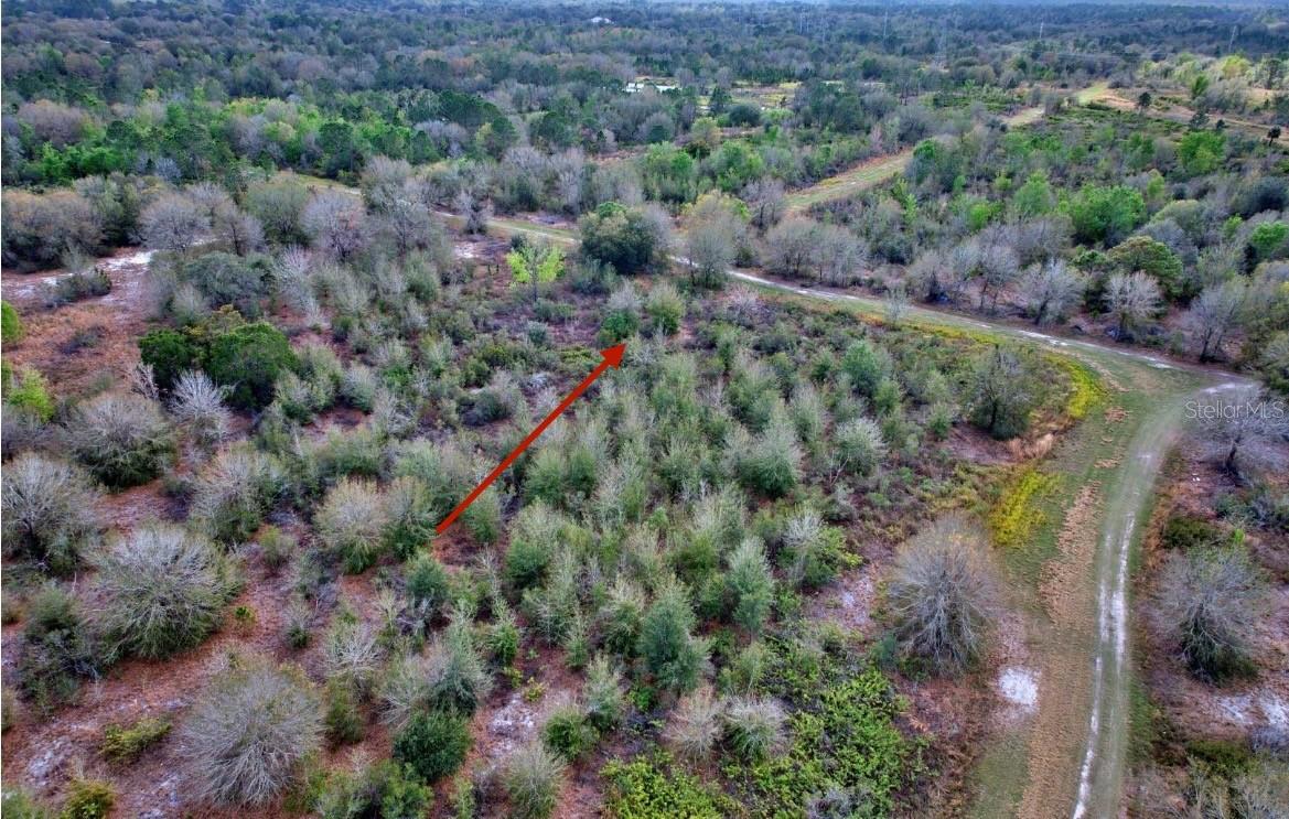 3200 W JURGENSON RD, AVON PARK, FL, 33825