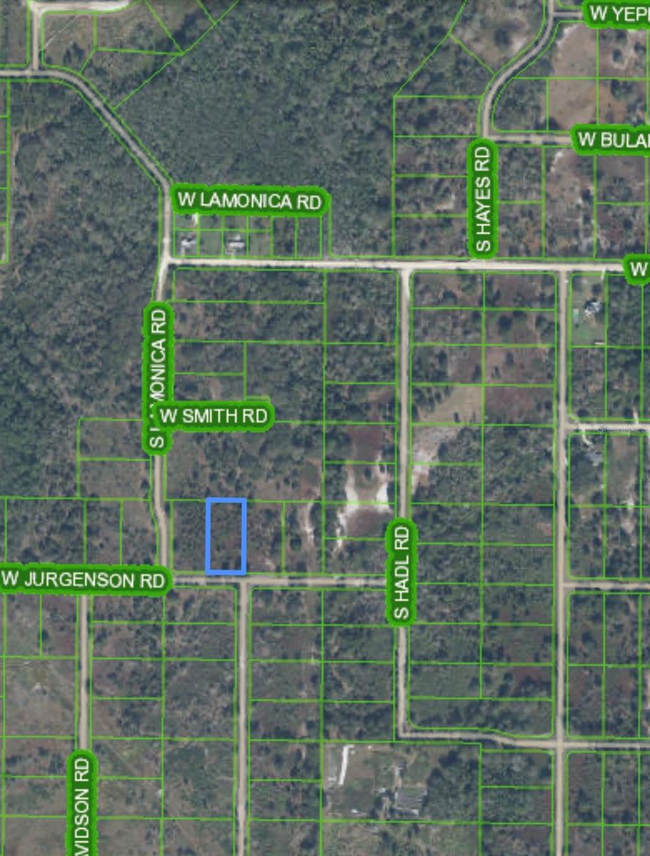 3200 W JURGENSON RD, AVON PARK, FL, 33825