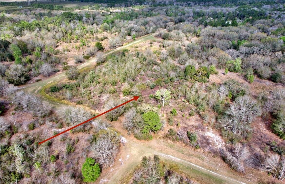 3200 W JURGENSON RD, AVON PARK, FL, 33825