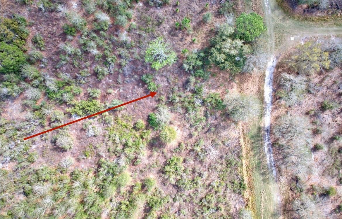 3200 W JURGENSON RD, AVON PARK, FL, 33825