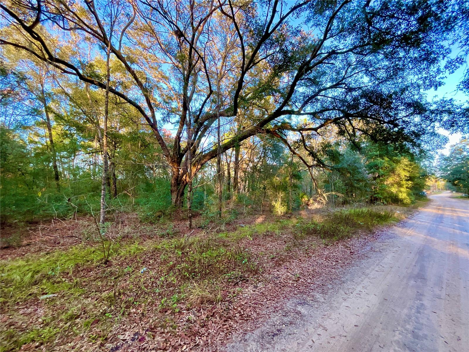108 JUNIPER DR, HAWTHORNE, FL, 32640
