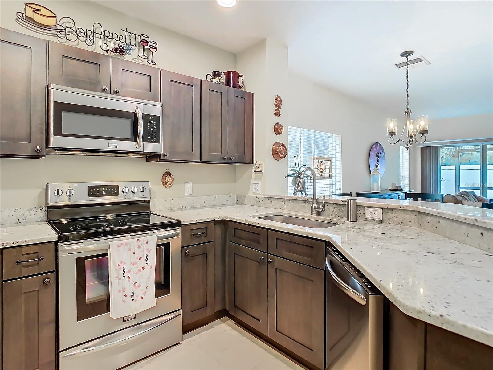 20462 NEEDLETREE DR, TAMPA, FL, 33647