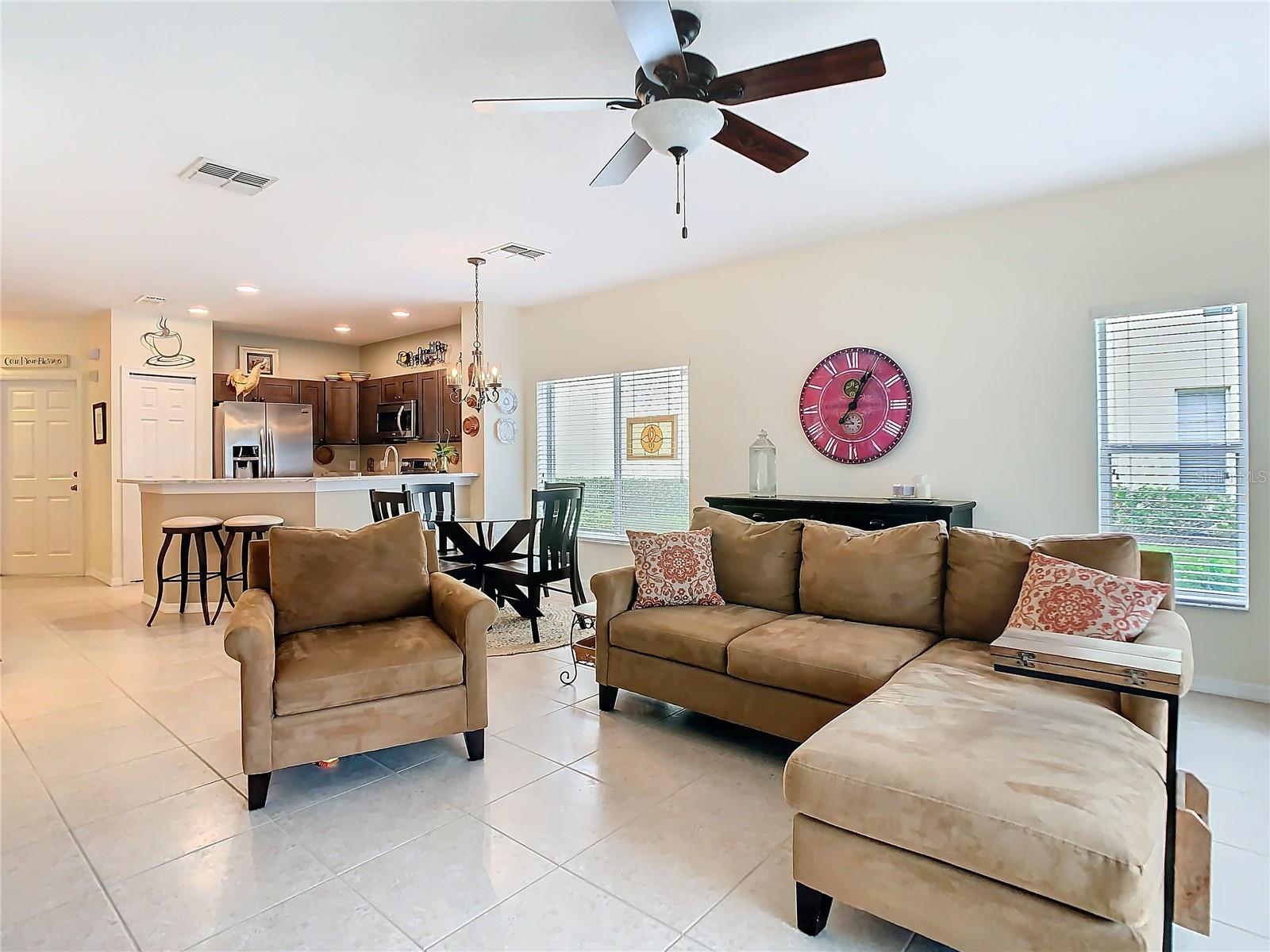 20462 NEEDLETREE DR, TAMPA, FL, 33647