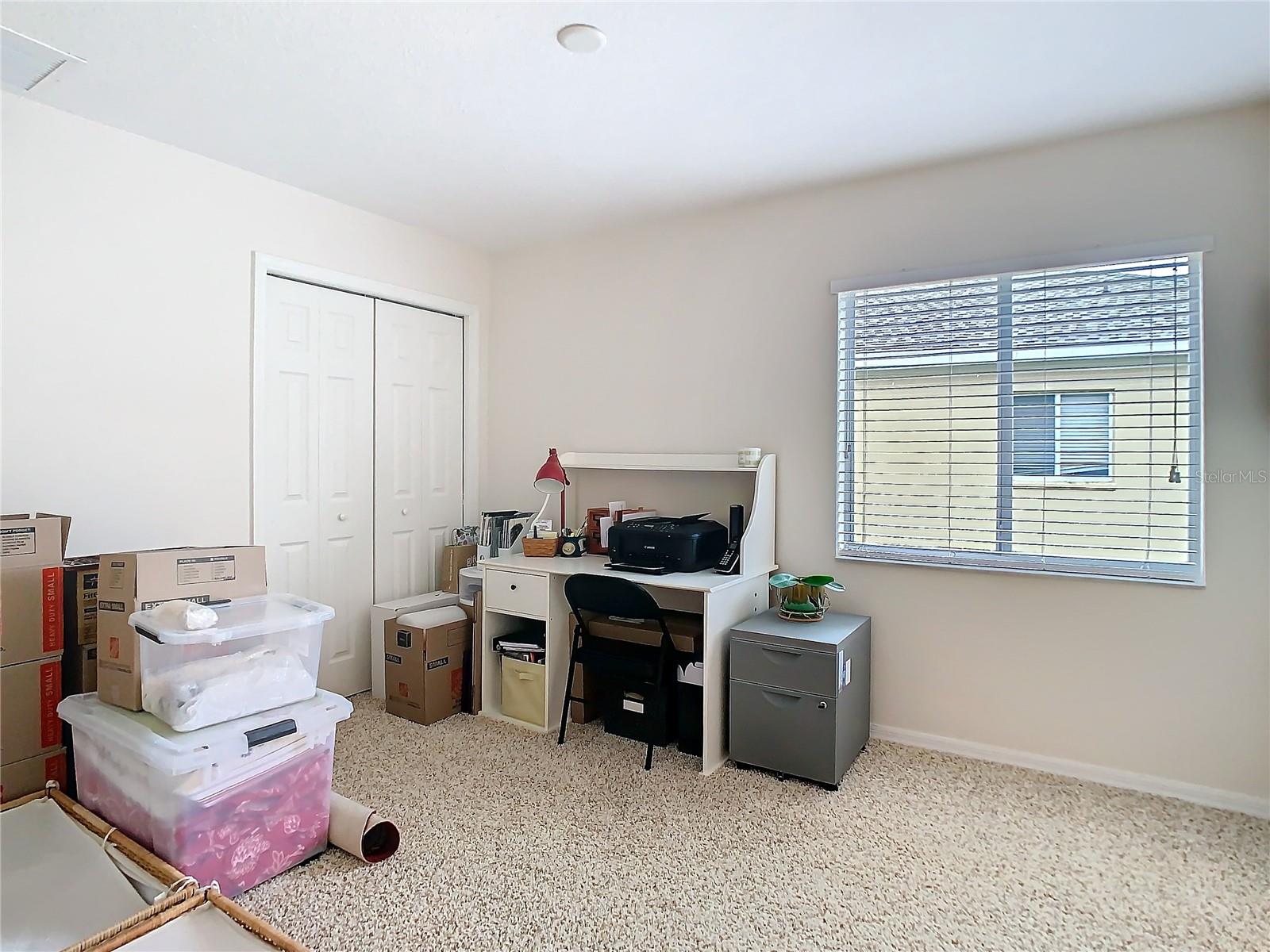 20462 NEEDLETREE DR, TAMPA, FL, 33647