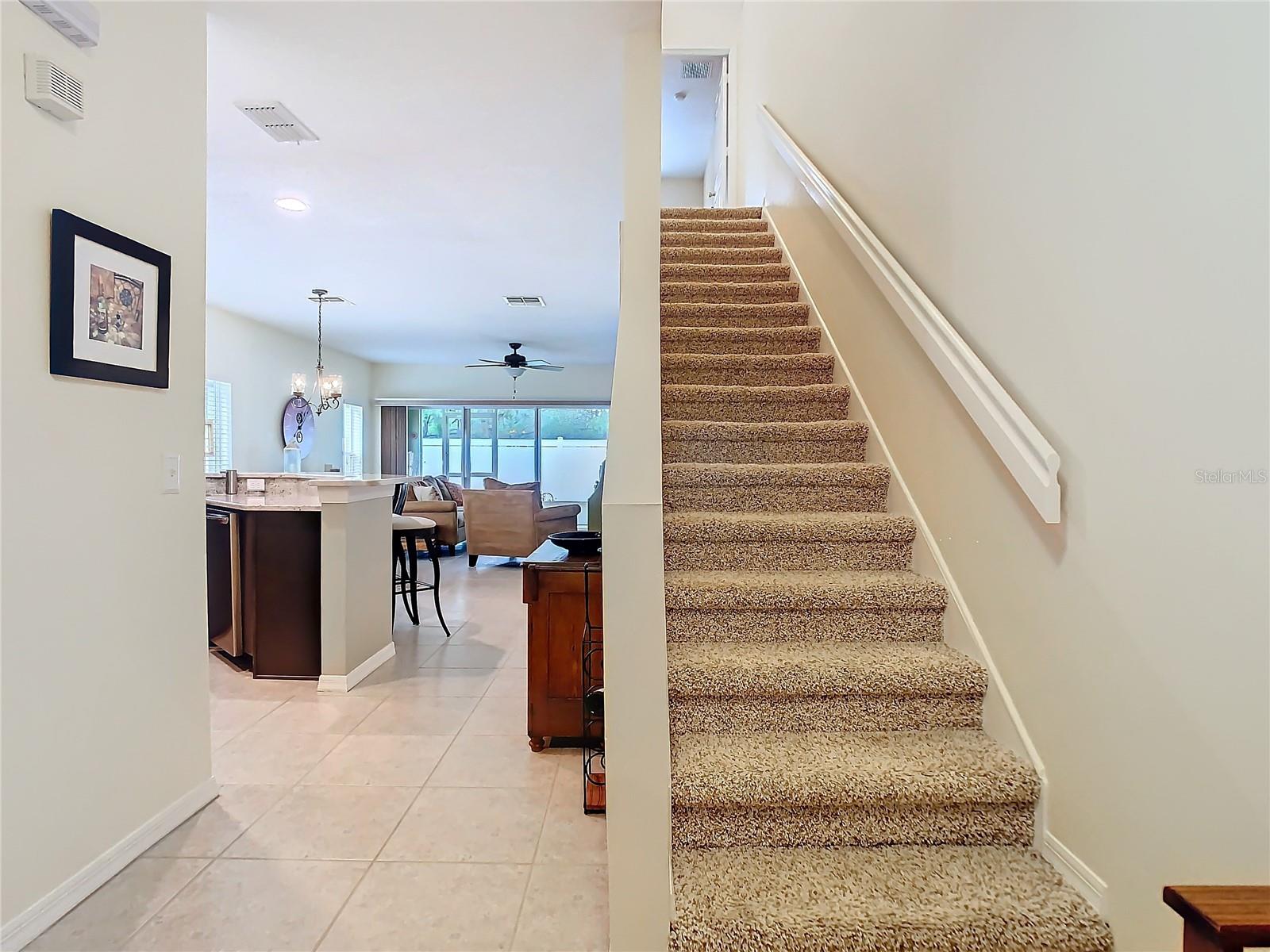 20462 NEEDLETREE DR, TAMPA, FL, 33647
