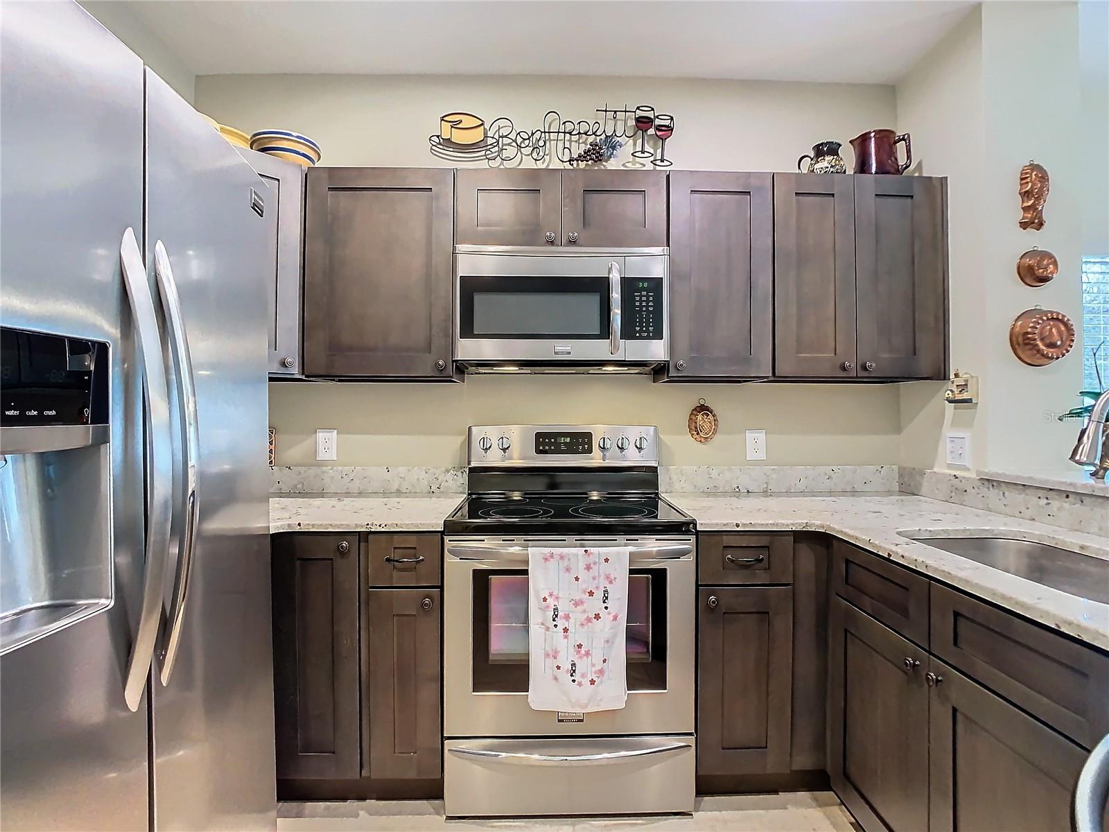 20462 NEEDLETREE DR, TAMPA, FL, 33647