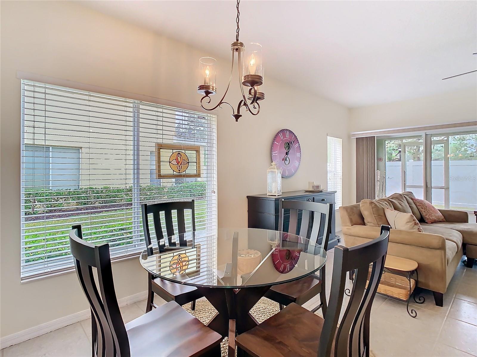 20462 NEEDLETREE DR, TAMPA, FL, 33647