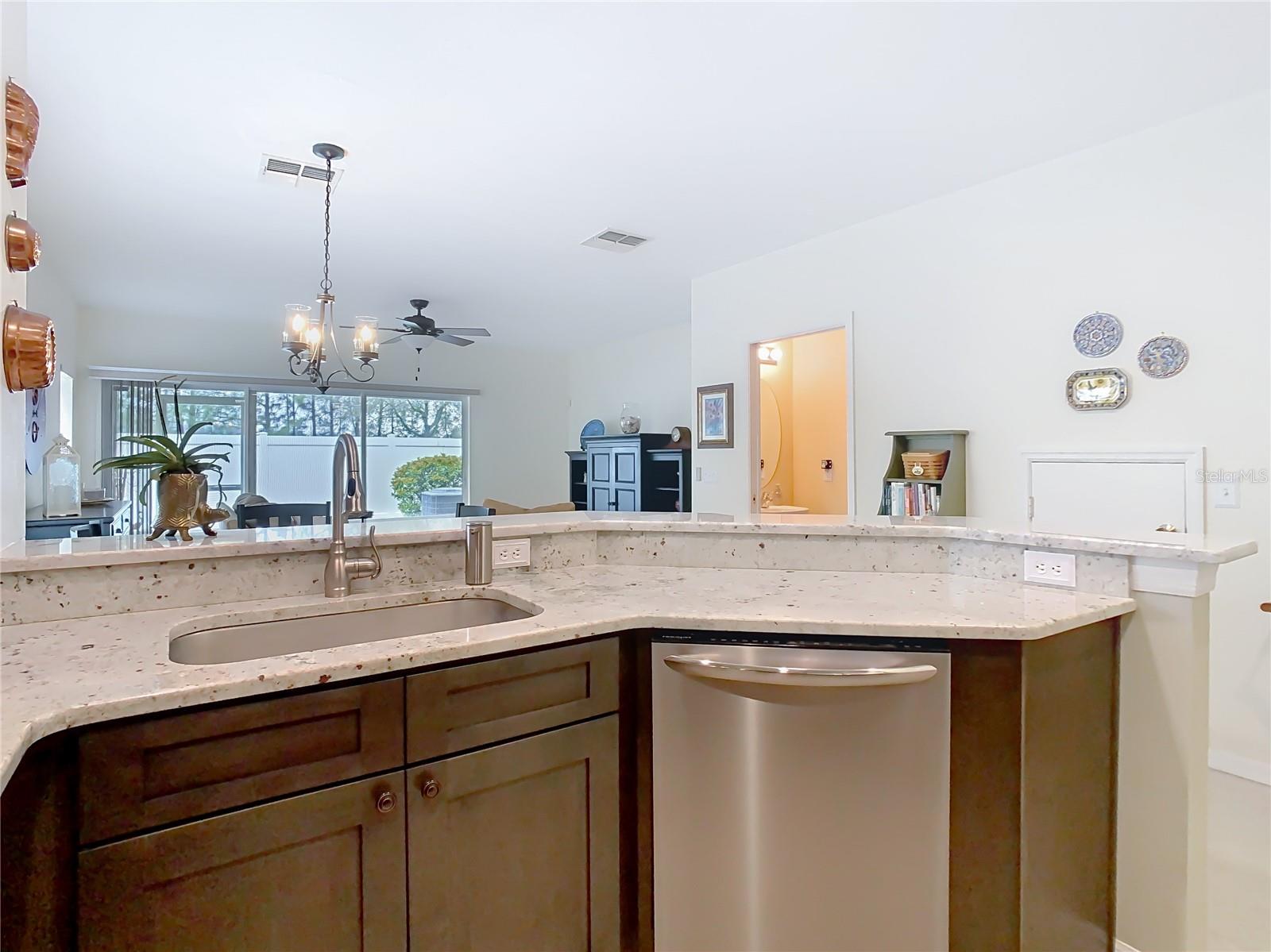 20462 NEEDLETREE DR, TAMPA, FL, 33647
