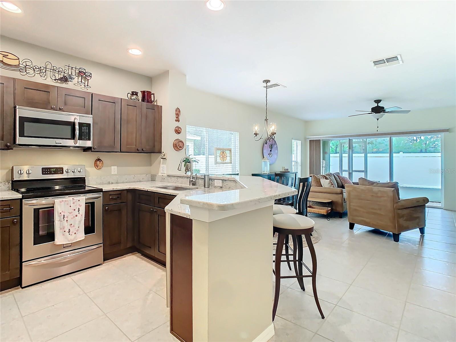 20462 NEEDLETREE DR, TAMPA, FL, 33647