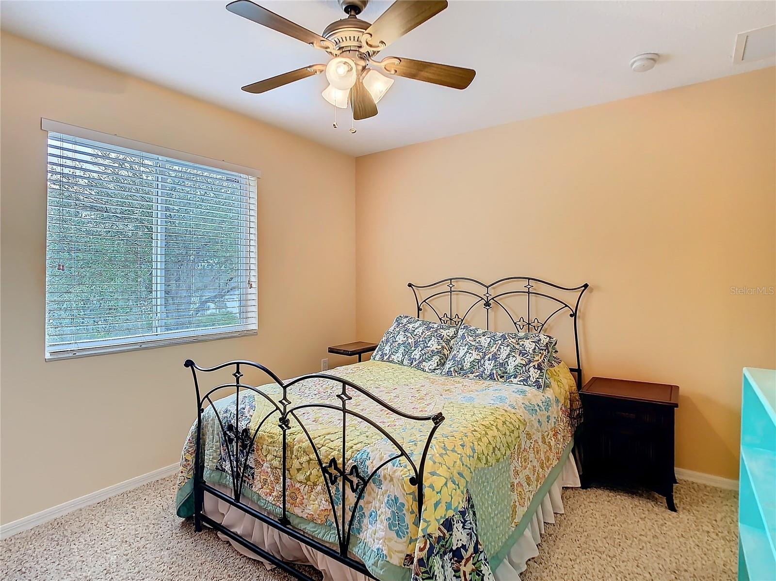 20462 NEEDLETREE DR, TAMPA, FL, 33647