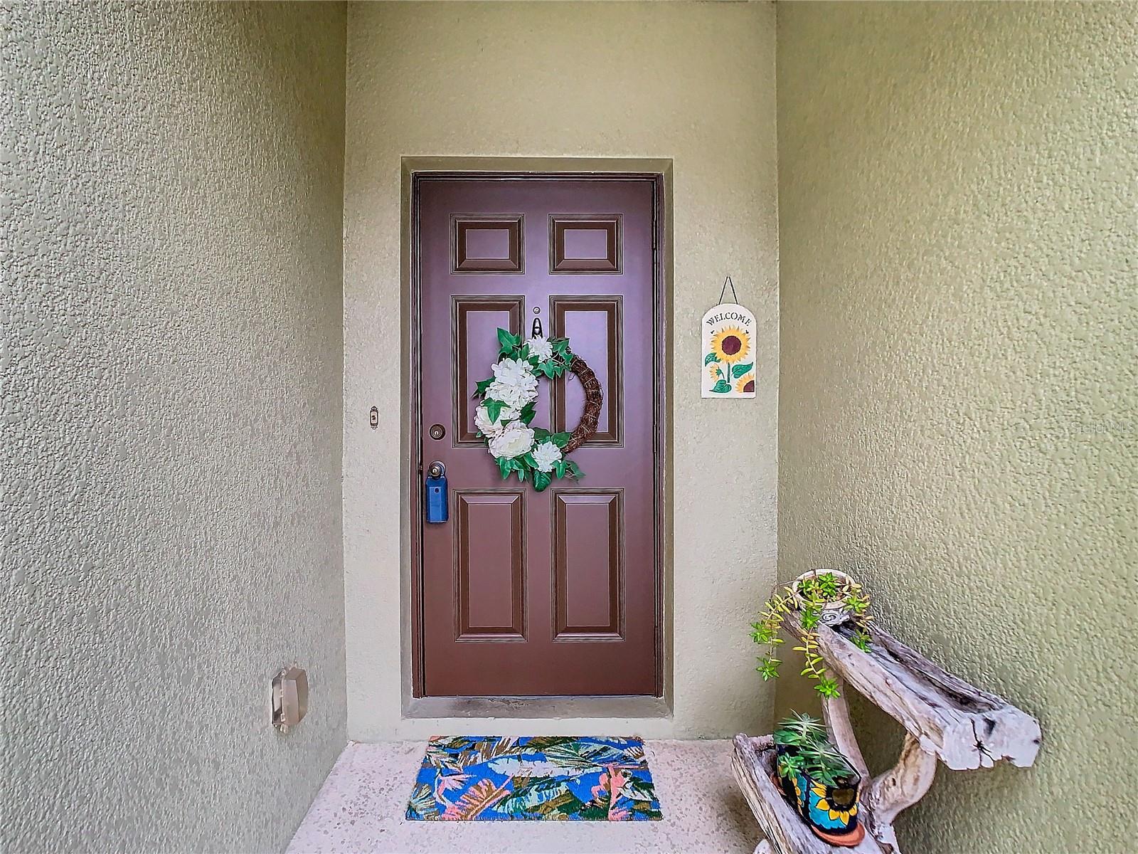 20462 NEEDLETREE DR, TAMPA, FL, 33647