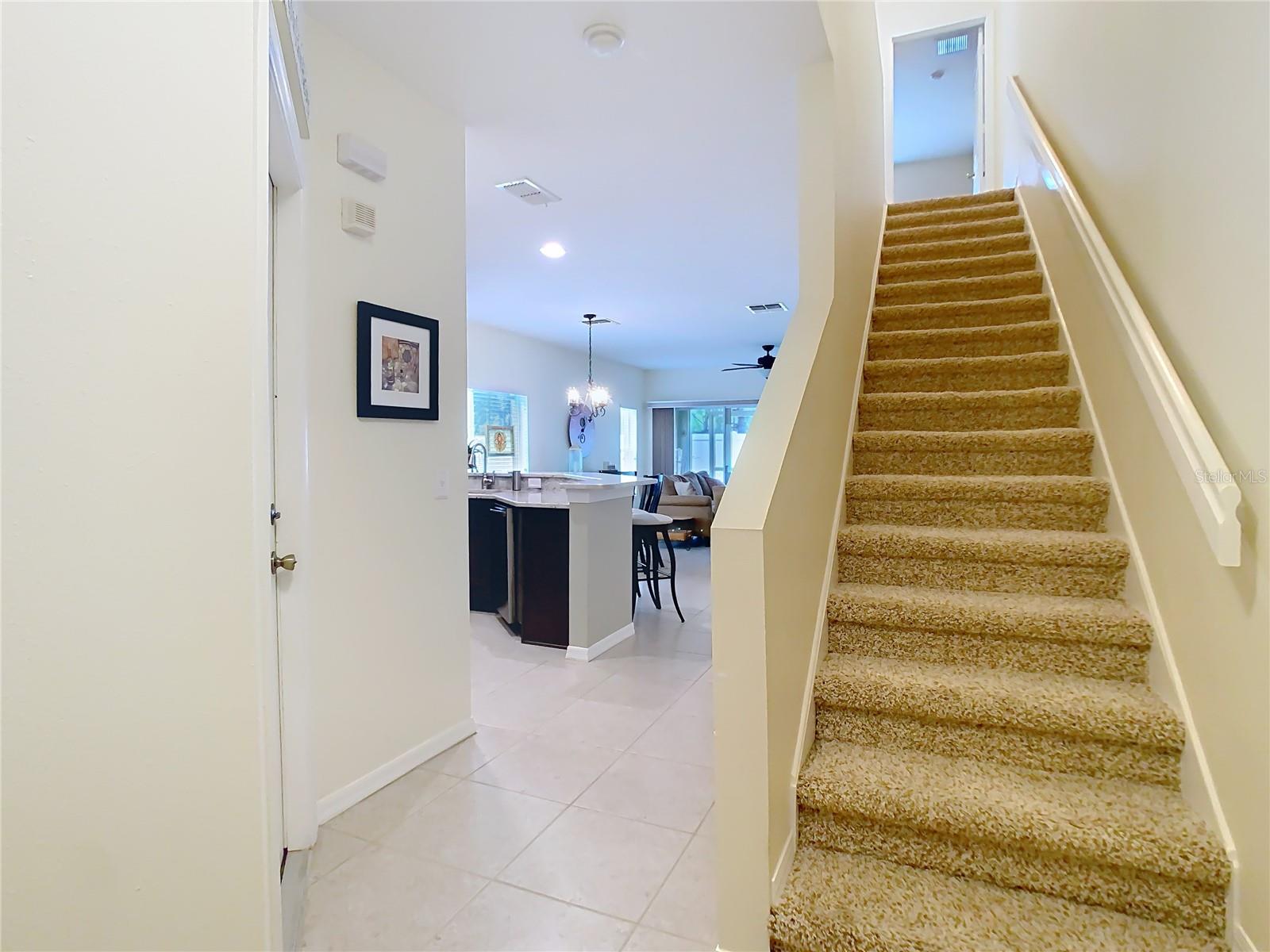 20462 NEEDLETREE DR, TAMPA, FL, 33647