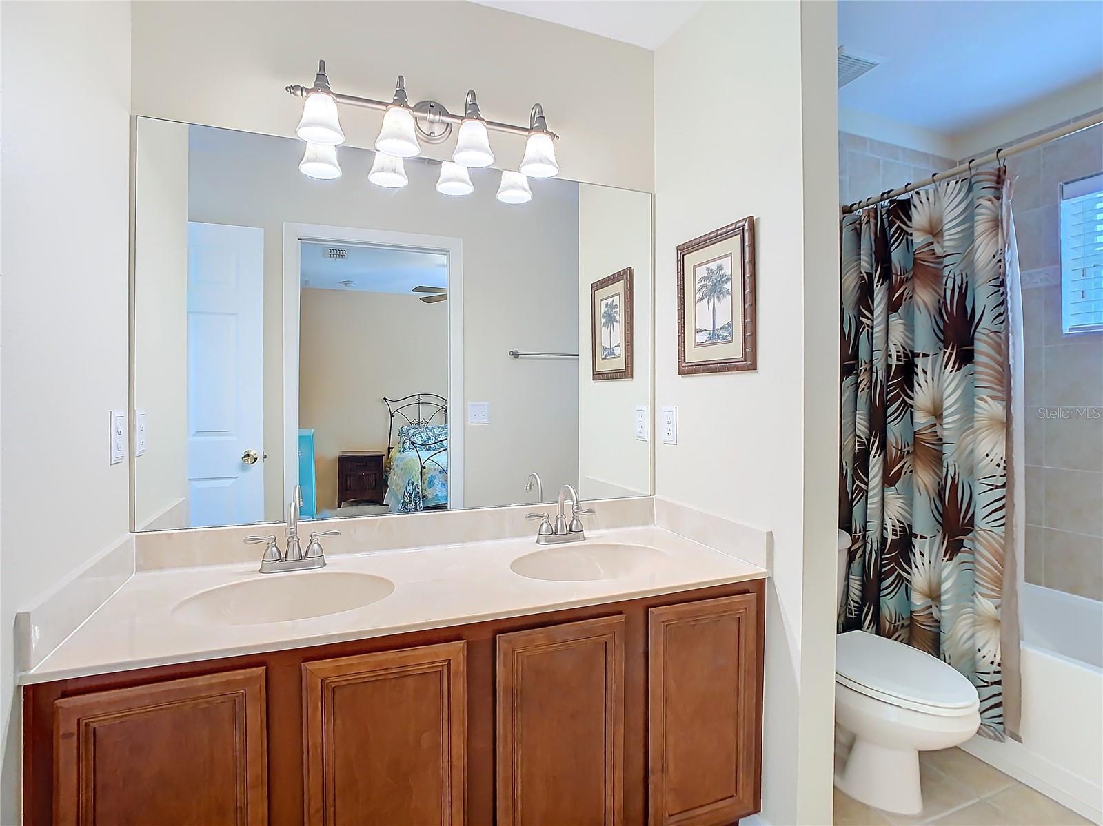 20462 NEEDLETREE DR, TAMPA, FL, 33647
