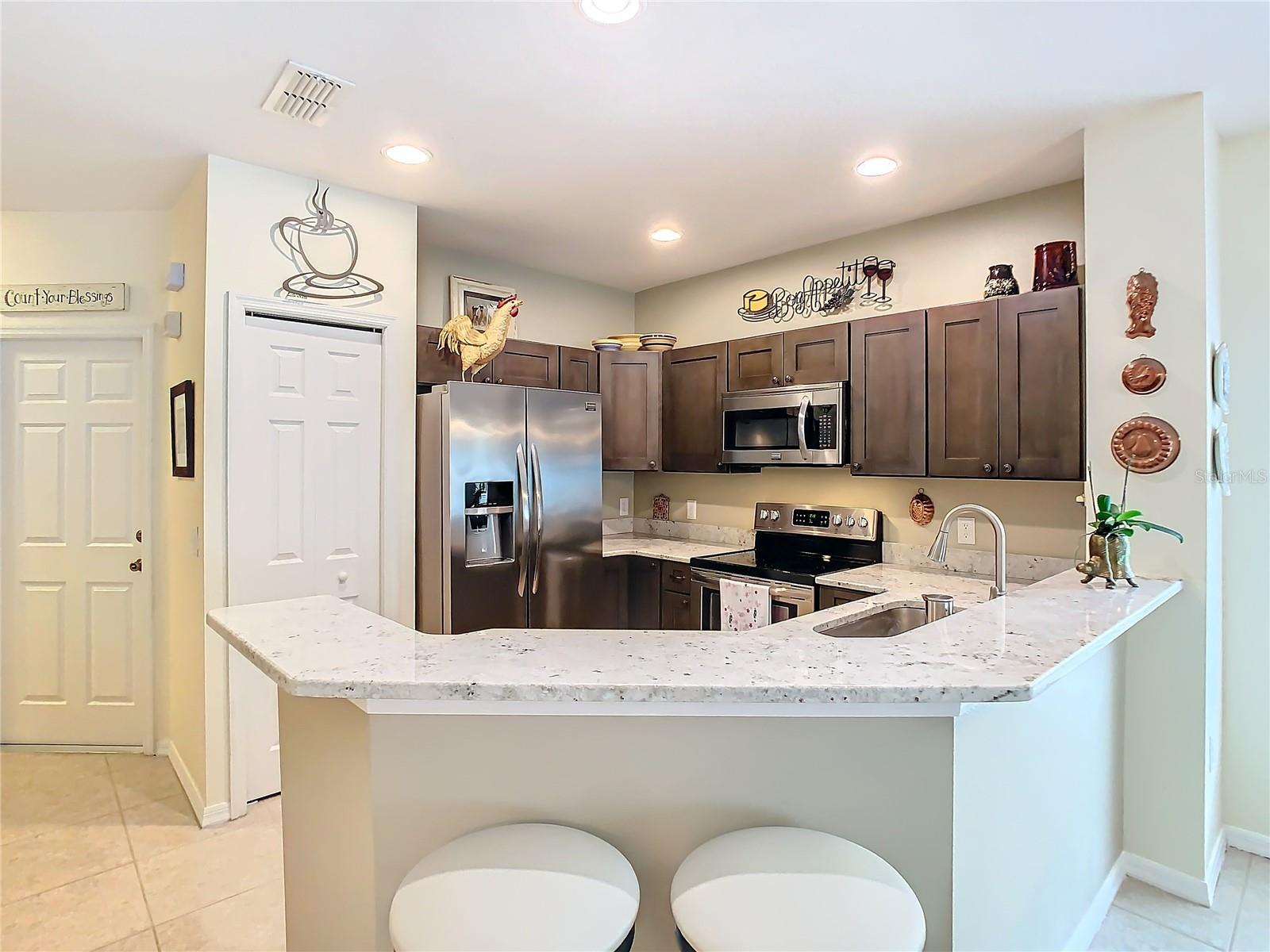 20462 NEEDLETREE DR, TAMPA, FL, 33647