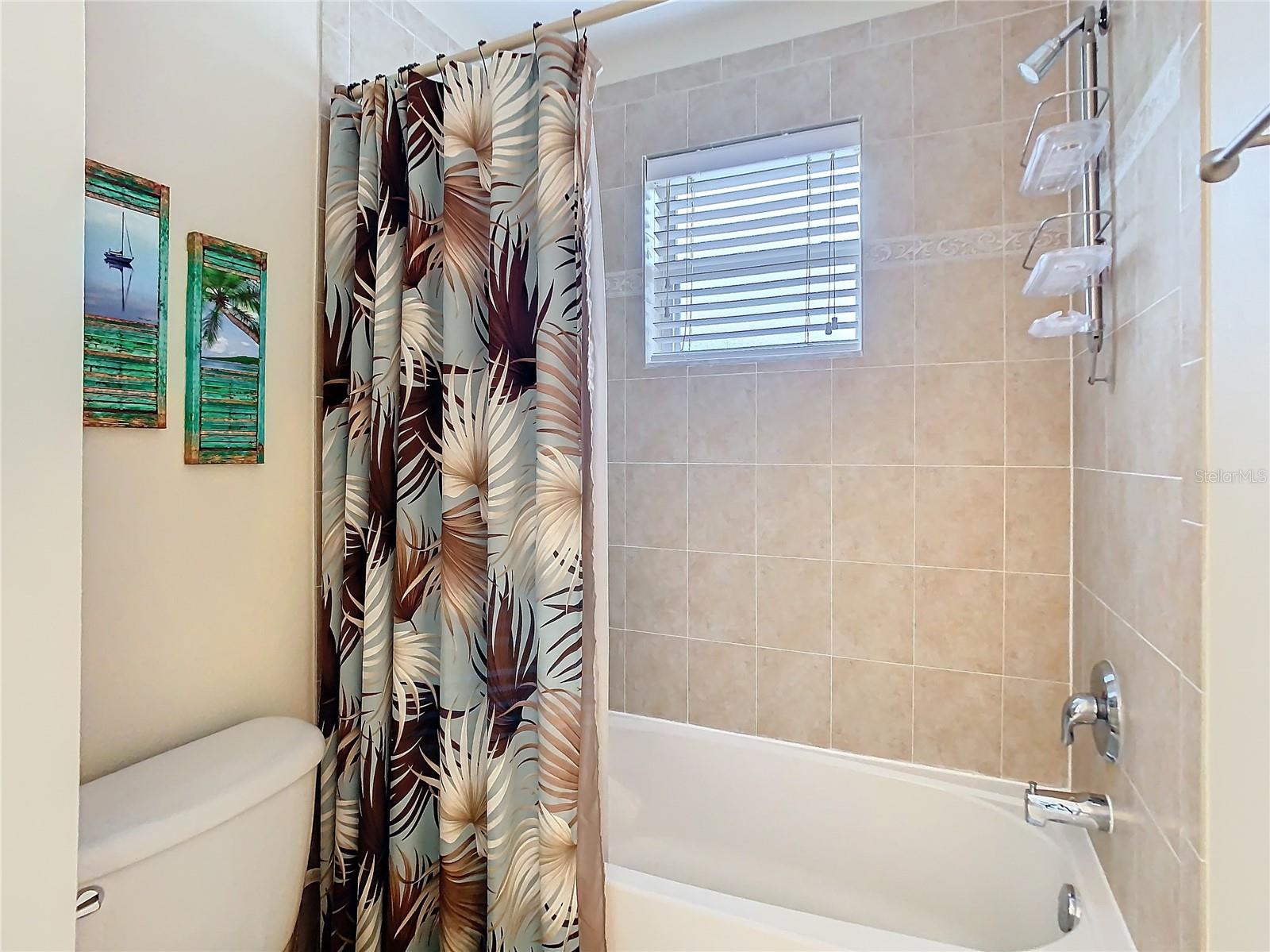 20462 NEEDLETREE DR, TAMPA, FL, 33647
