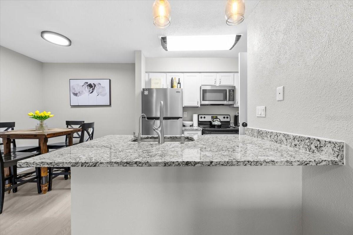 9100 DR MARTIN LUTHER KING JR ST N #1508, ST PETERSBURG, FL, 33702