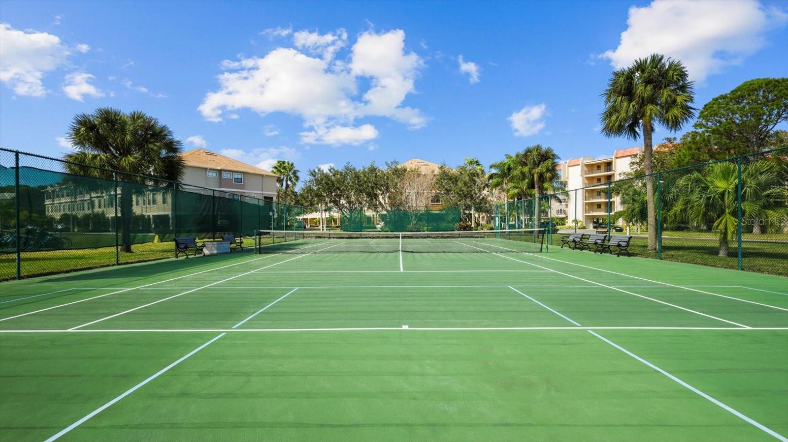 2700 BAYSHORE BLVD #2C/578, DUNEDIN, FL, 34698