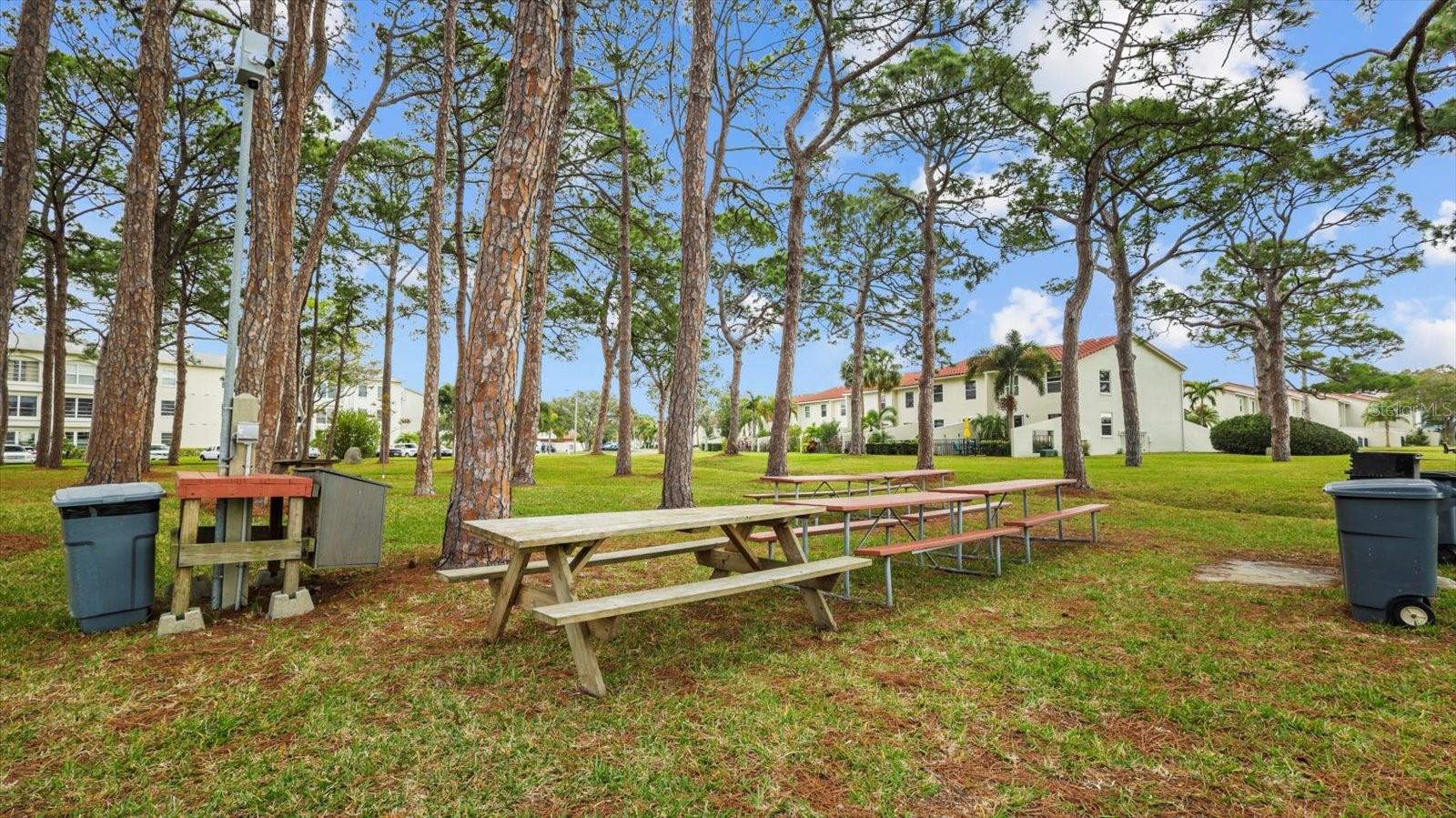 2700 BAYSHORE BLVD #2C/578, DUNEDIN, FL, 34698