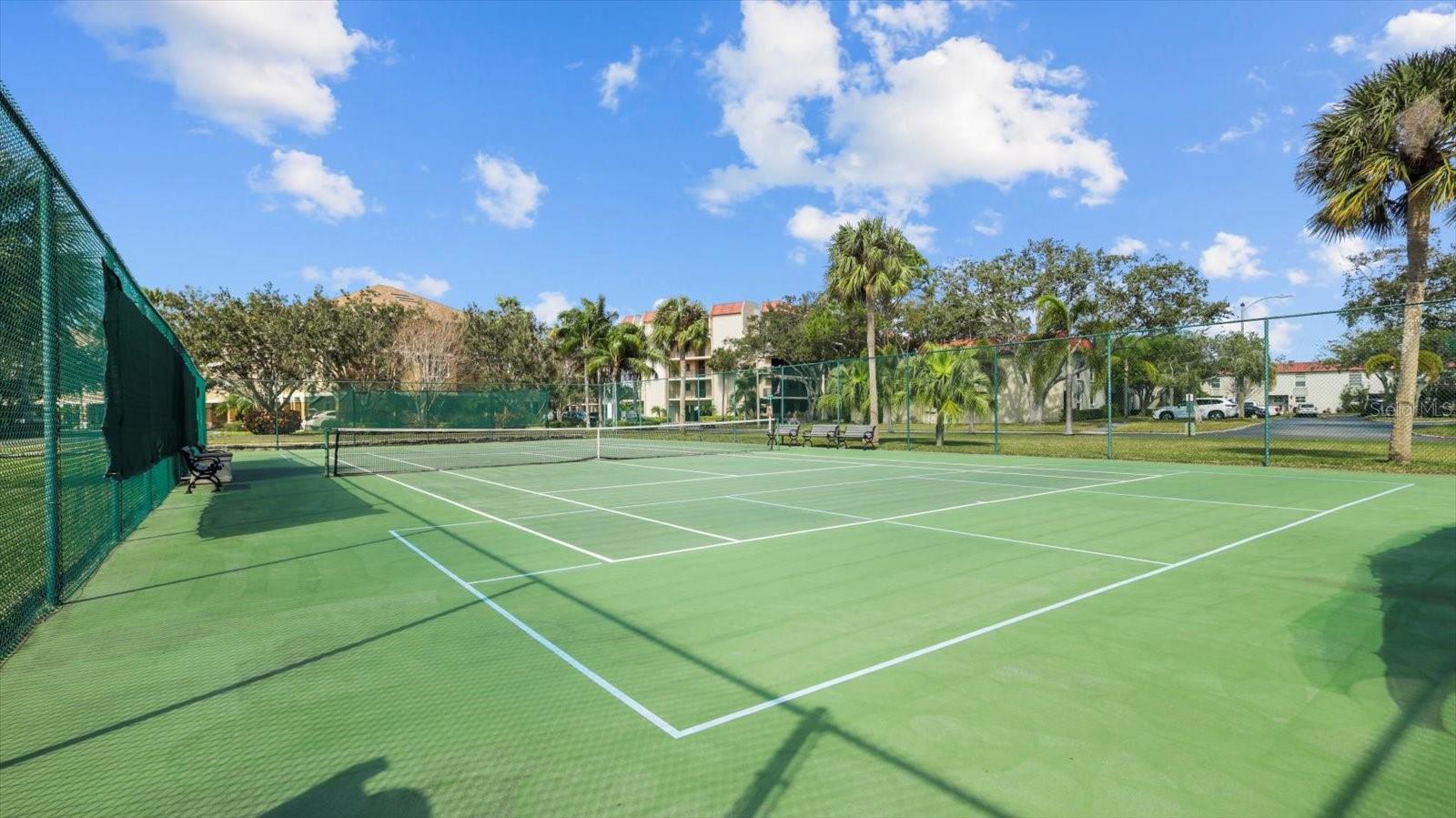 2700 BAYSHORE BLVD #2C/578, DUNEDIN, FL, 34698