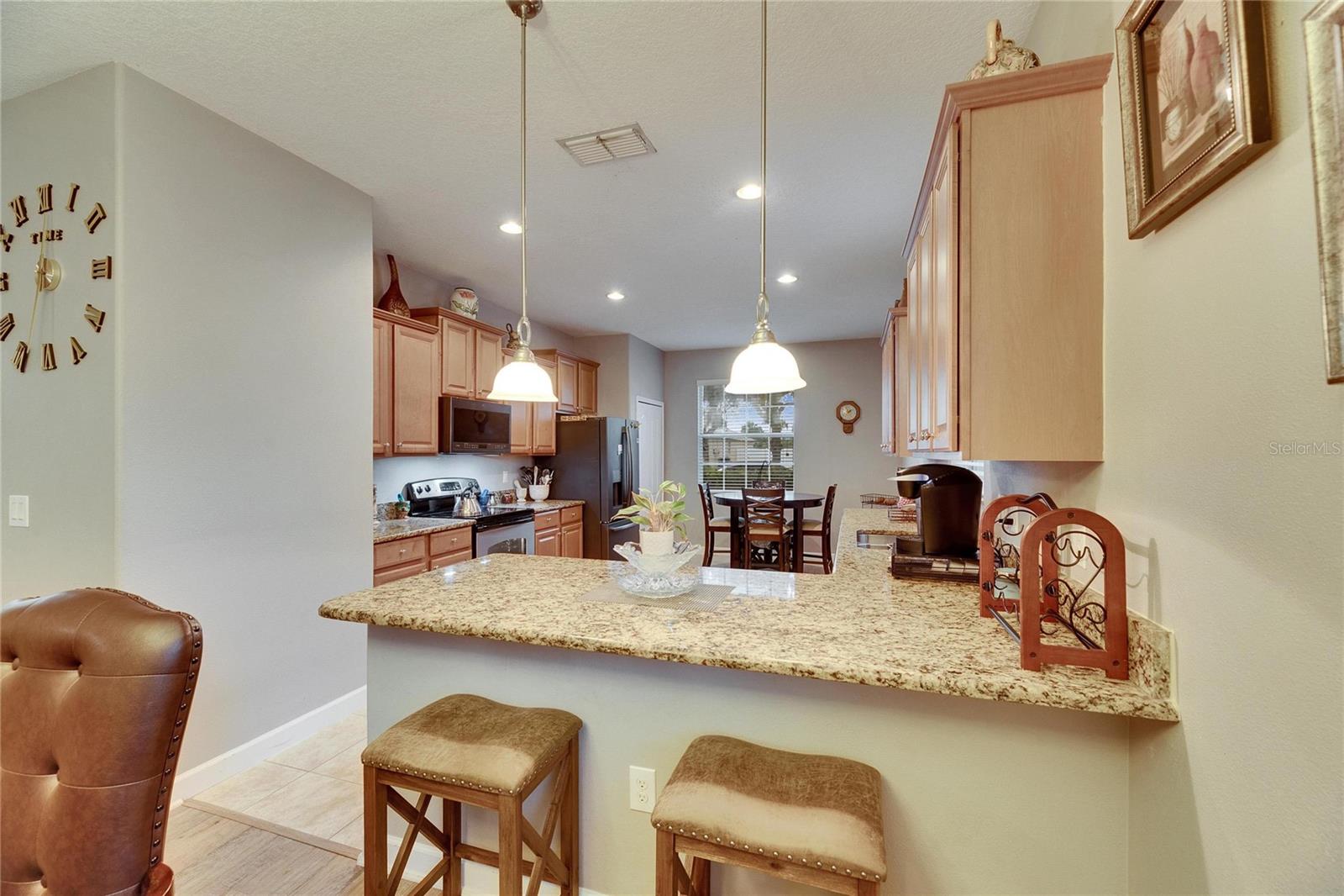 13454 GRAHAM YARDEN DR, RIVERVIEW, FL, 33579