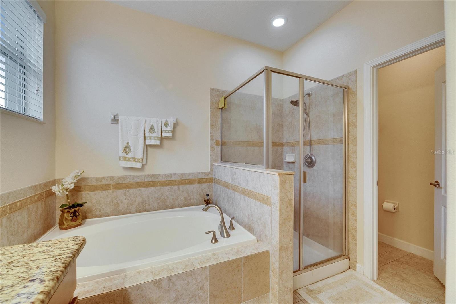 13454 GRAHAM YARDEN DR, RIVERVIEW, FL, 33579