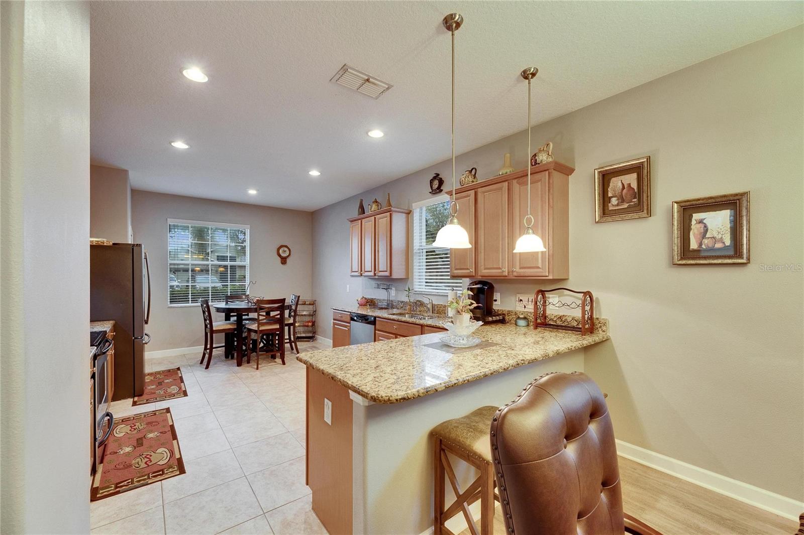 13454 GRAHAM YARDEN DR, RIVERVIEW, FL, 33579