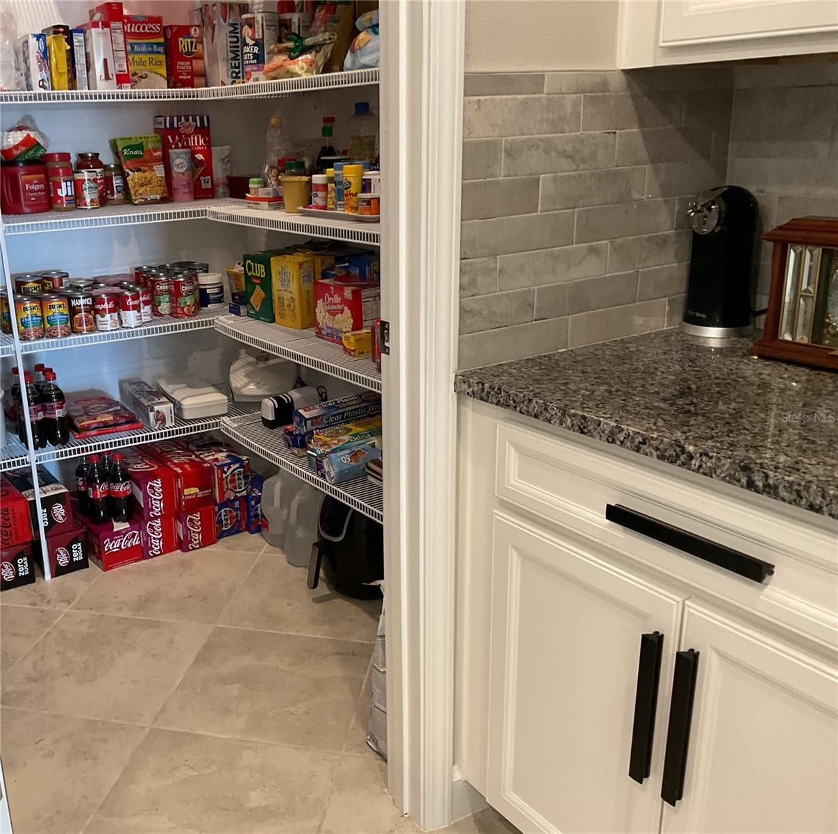 17108 SE 111TH TERRACE RD, SUMMERFIELD, FL, 34491